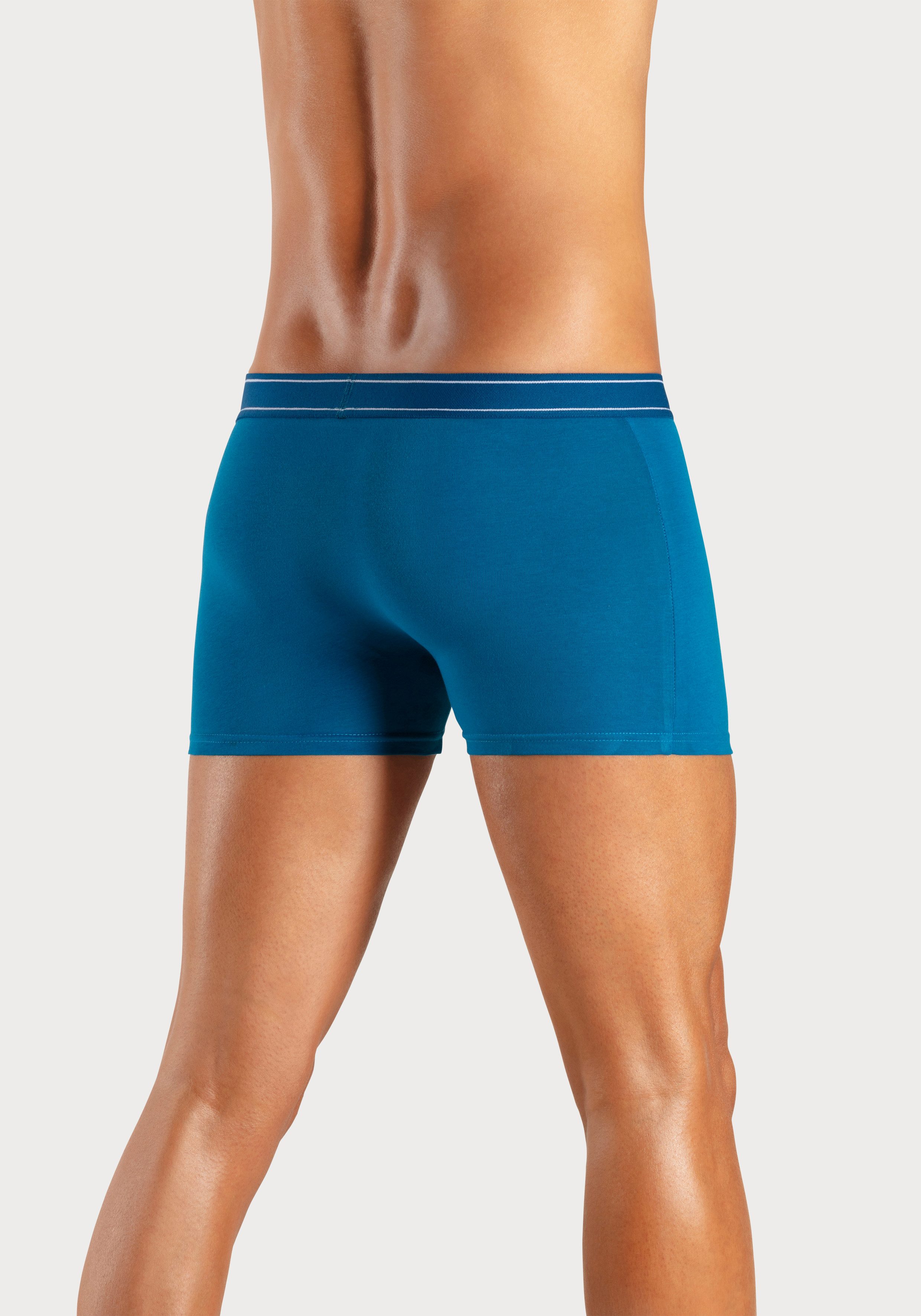 H.I.S Boxer Boxershorts für Herren (Packung, 5-St) mit Steifen und Logo im Bund