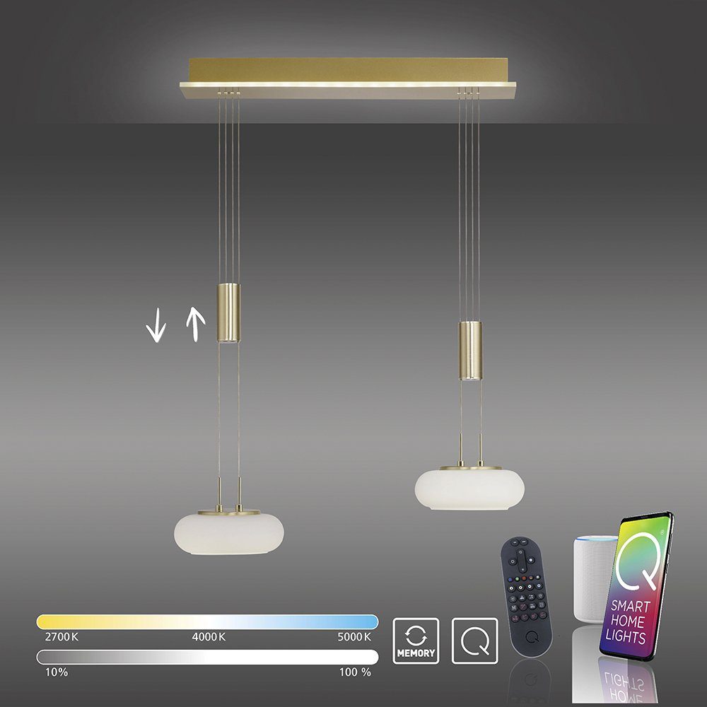 Paul Neuhaus Smarte LED-Leuchte LED Pendellampe günstig online kaufen