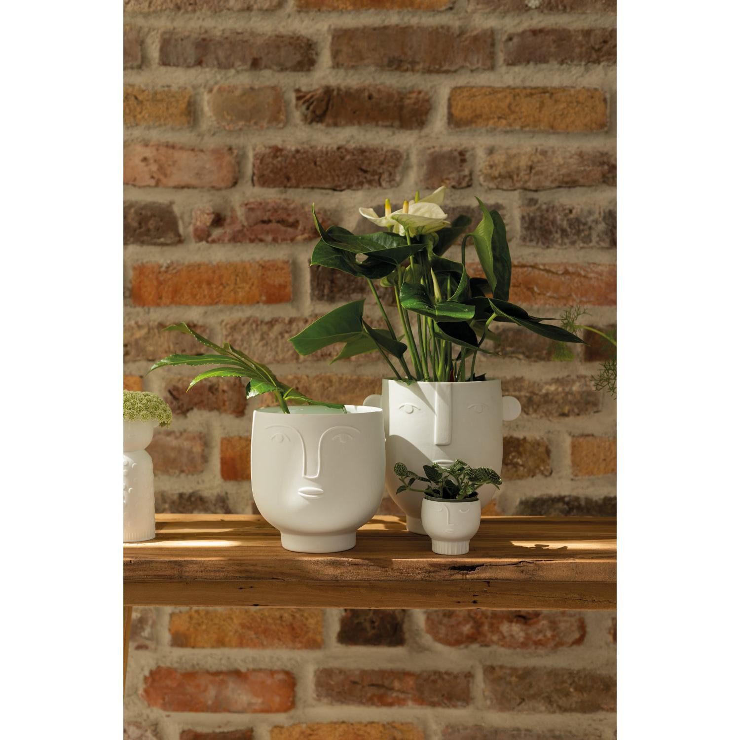 Räder Blumentopf Design Vase Übertopf Naturgestalten Flora Weiß (19,5cm) günstig online kaufen