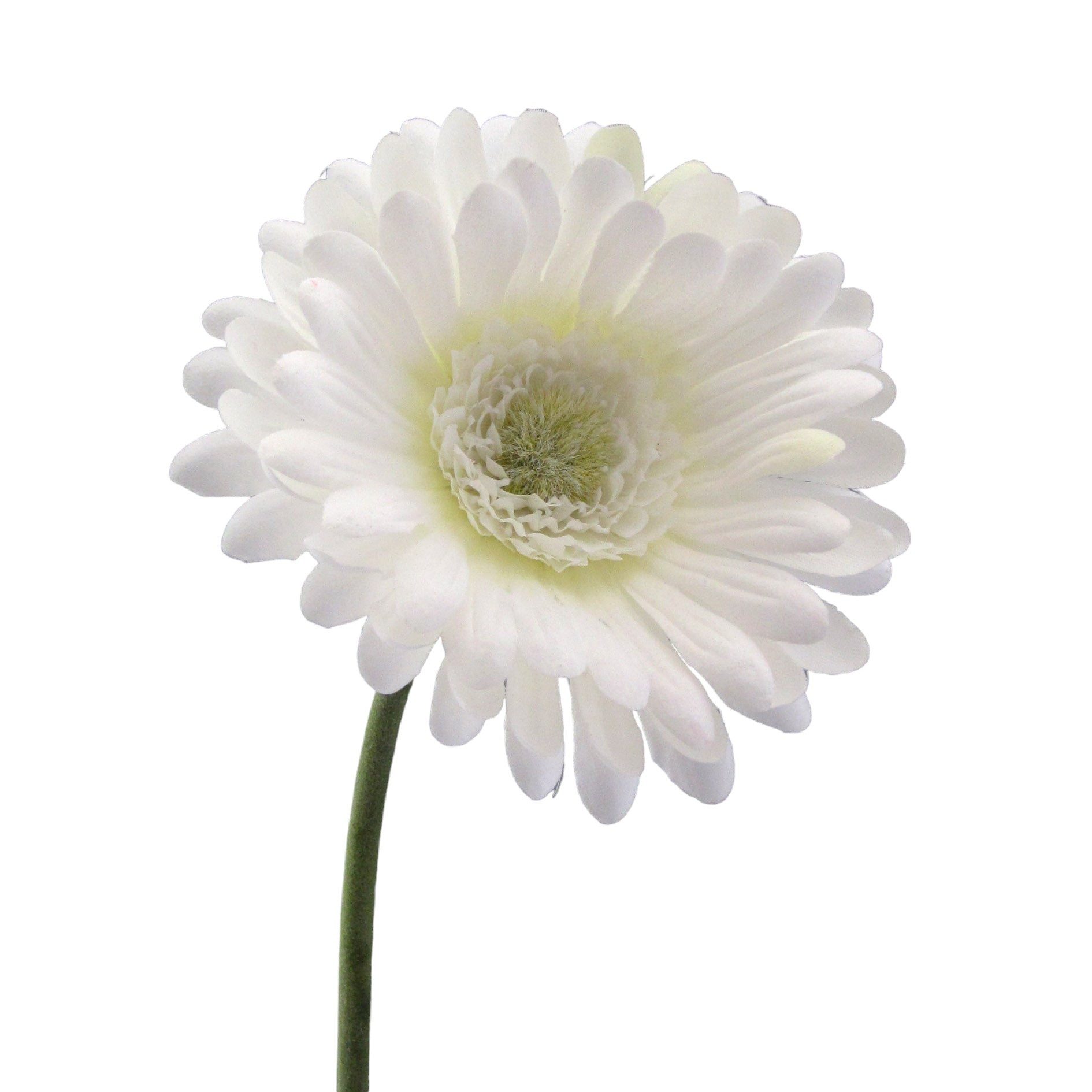 Kunstblume Kunstblume GERBERA 50cm, Gasper, Höhe 50.00 cm günstig online kaufen