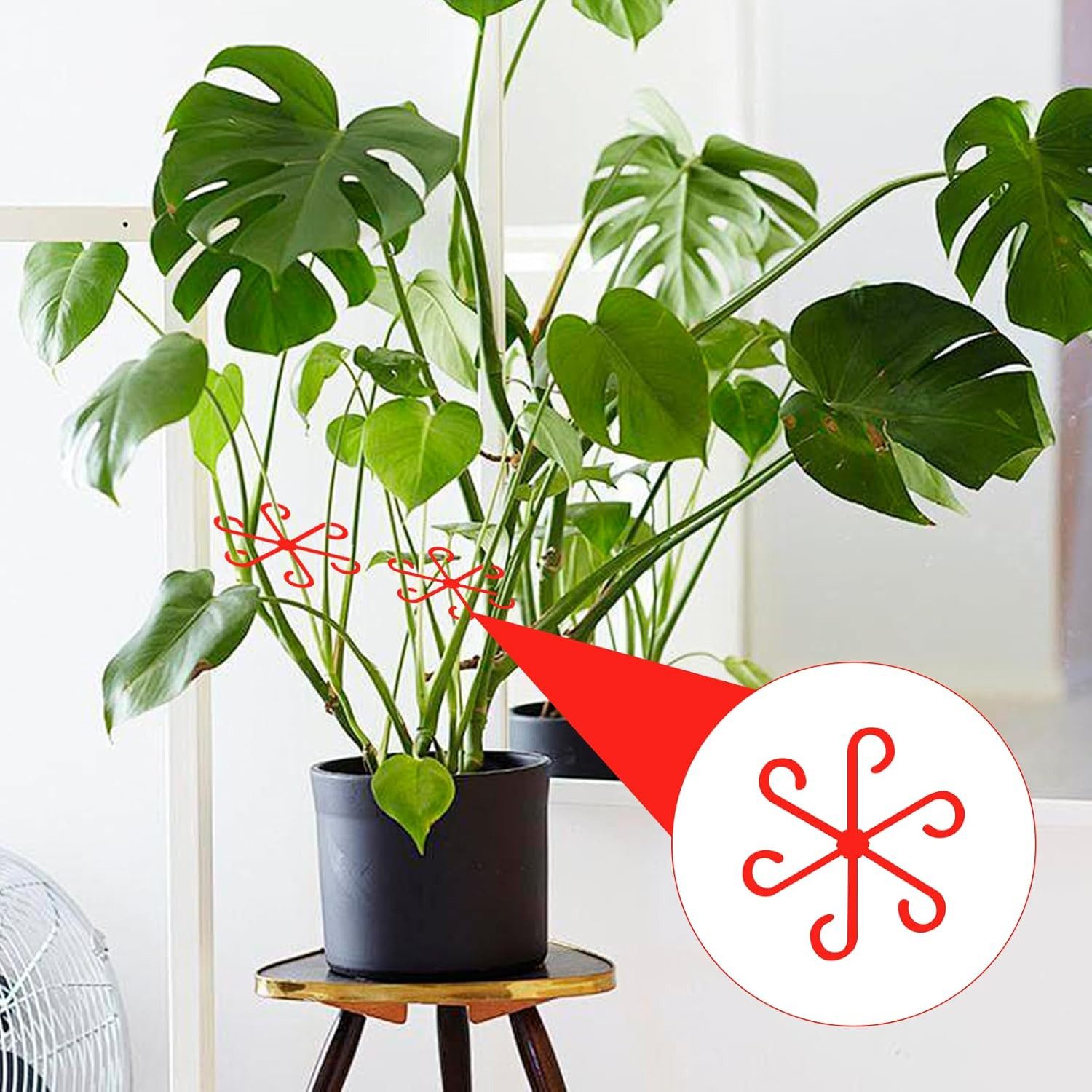 Coonoor Gartenpflege-Set 4 Stück Staudenhalter, Rankhilfe günstig online kaufen
