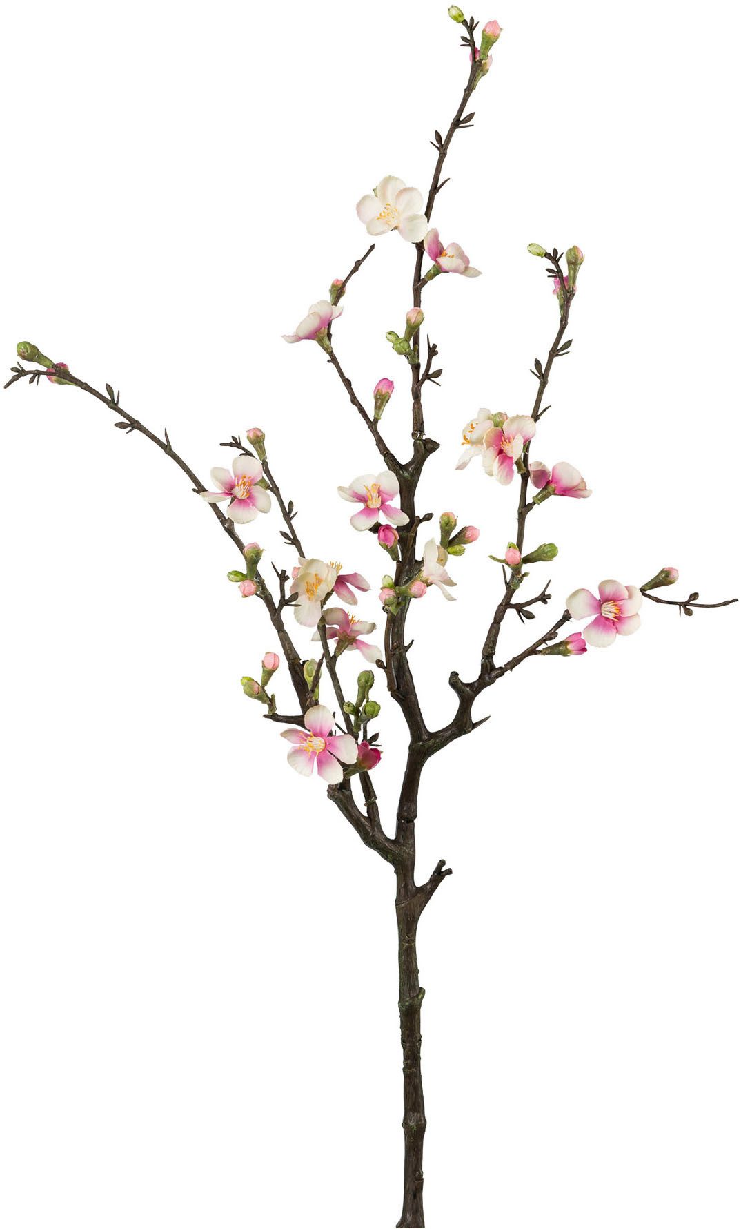 Kunstzweig Quittenzweig, Creativ green, Höhe 75 cm, mit zarten Blüten günstig online kaufen