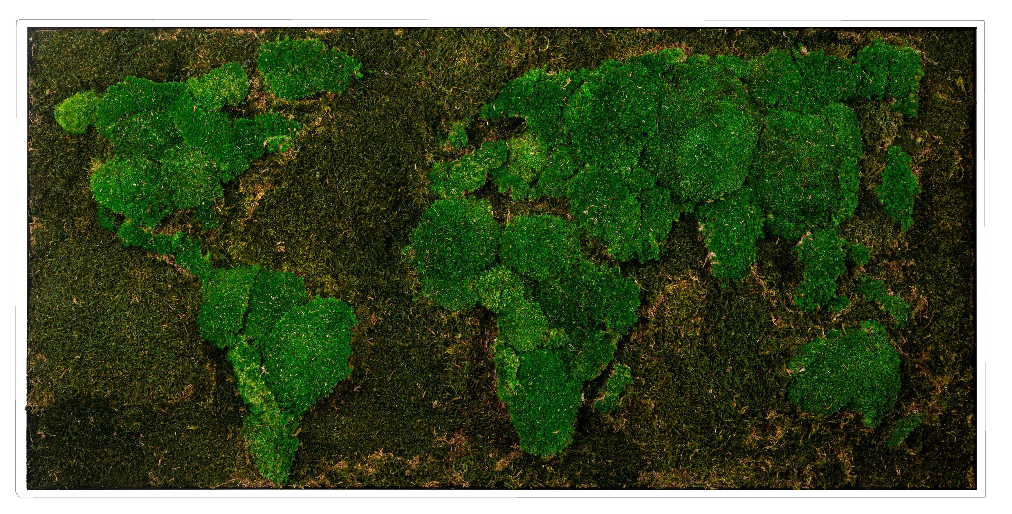 Bönninghoff Bild mit Rahmen Moos, Weltkarte (1 St), jedes Bild ein Unikat, BxH: 120x60 cm