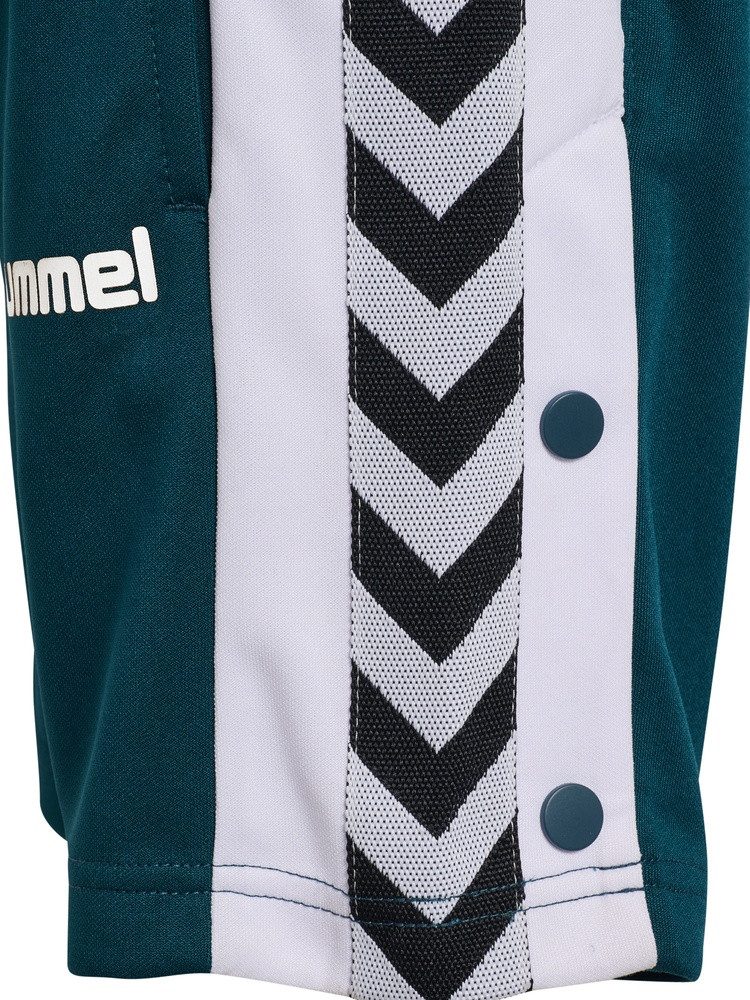 hummel Shorts Chevron Shorts