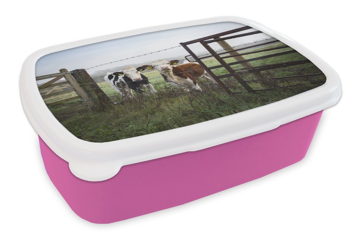 MuchoWow Tiere, Snackbox, Erwachsene, Kuh Gras Kunststoff - - Mädchen, Brotbox Stacheldraht (2-tlg), rosa für - Kunststoff, Kinder, Brotdose Lunchbox