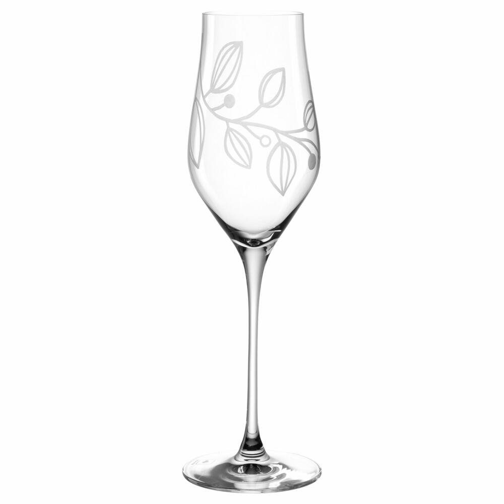 Champagnerglas Boccio, 340 ml