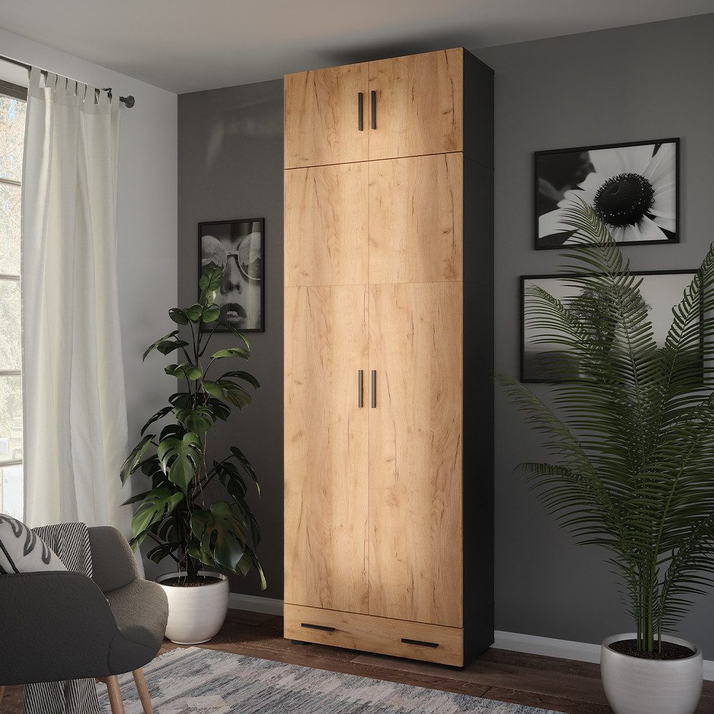 Vicco Aktenschrank Ingo, Anthrazit/Goldkraft Eiche, 80 x 241.2 cm mit Schrankaufsatz u... (1-St)