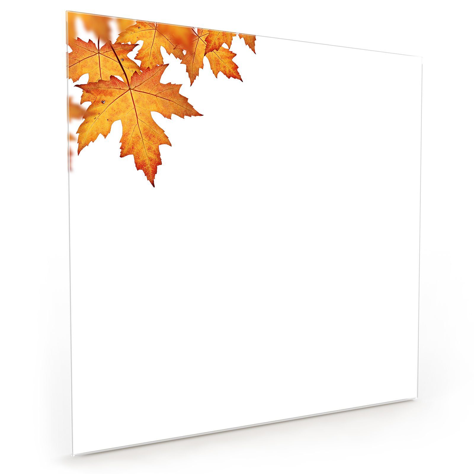 Glas Primedeco Herbstblätter Spritzschutz Motiv mit Küchenrückwand Orange Küchenrückwand