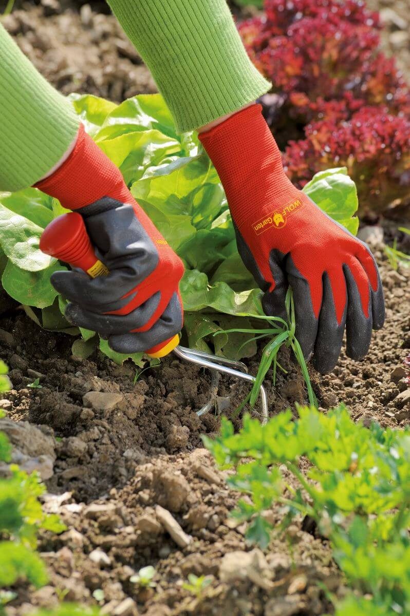 WOLF-Garten Gartenhandschuhe Wolf-GartenGH-BO 10 BEET-HANDSCHUH