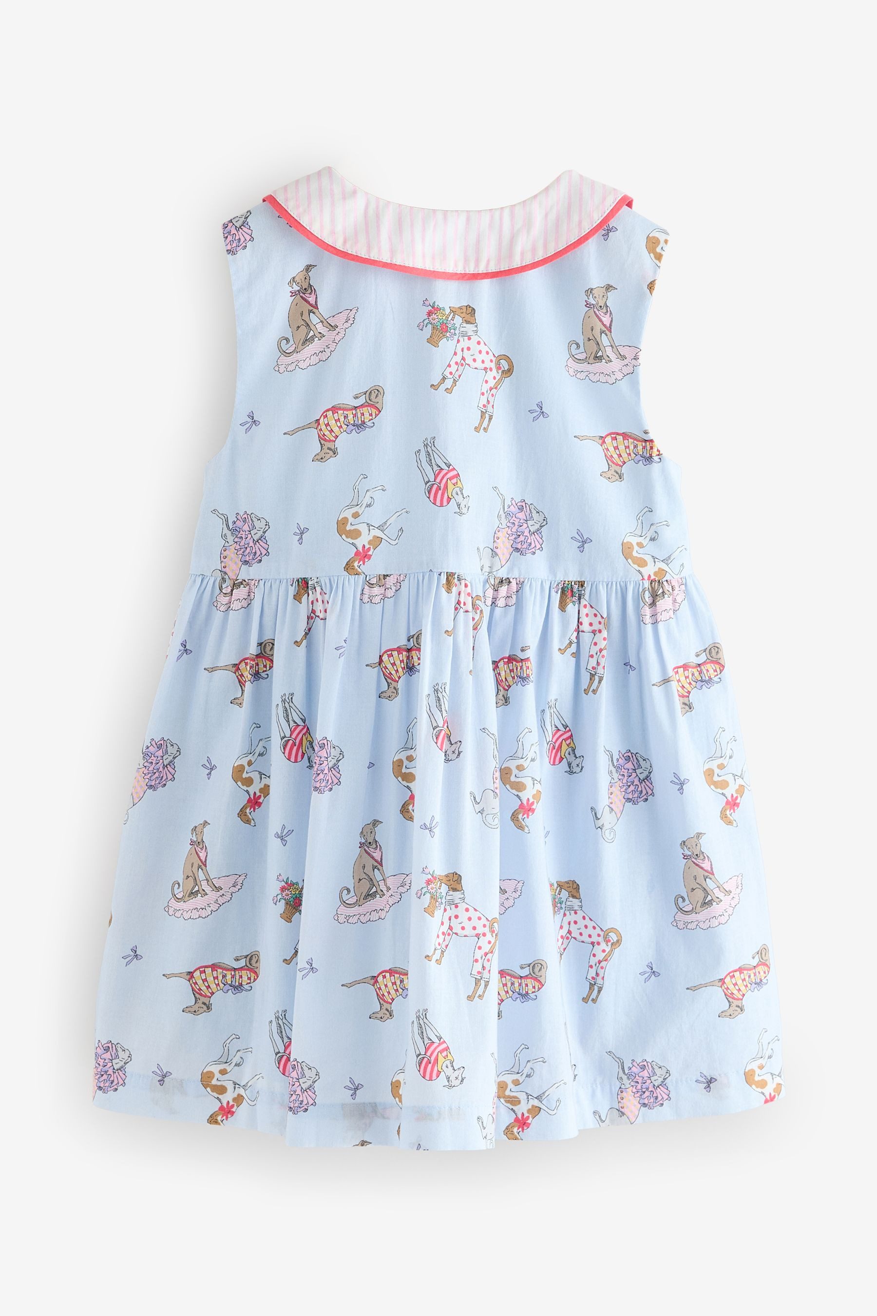 Next Partykleid Cath Kidston Kleid aus Baumwolle mit Kragen (1-tlg)