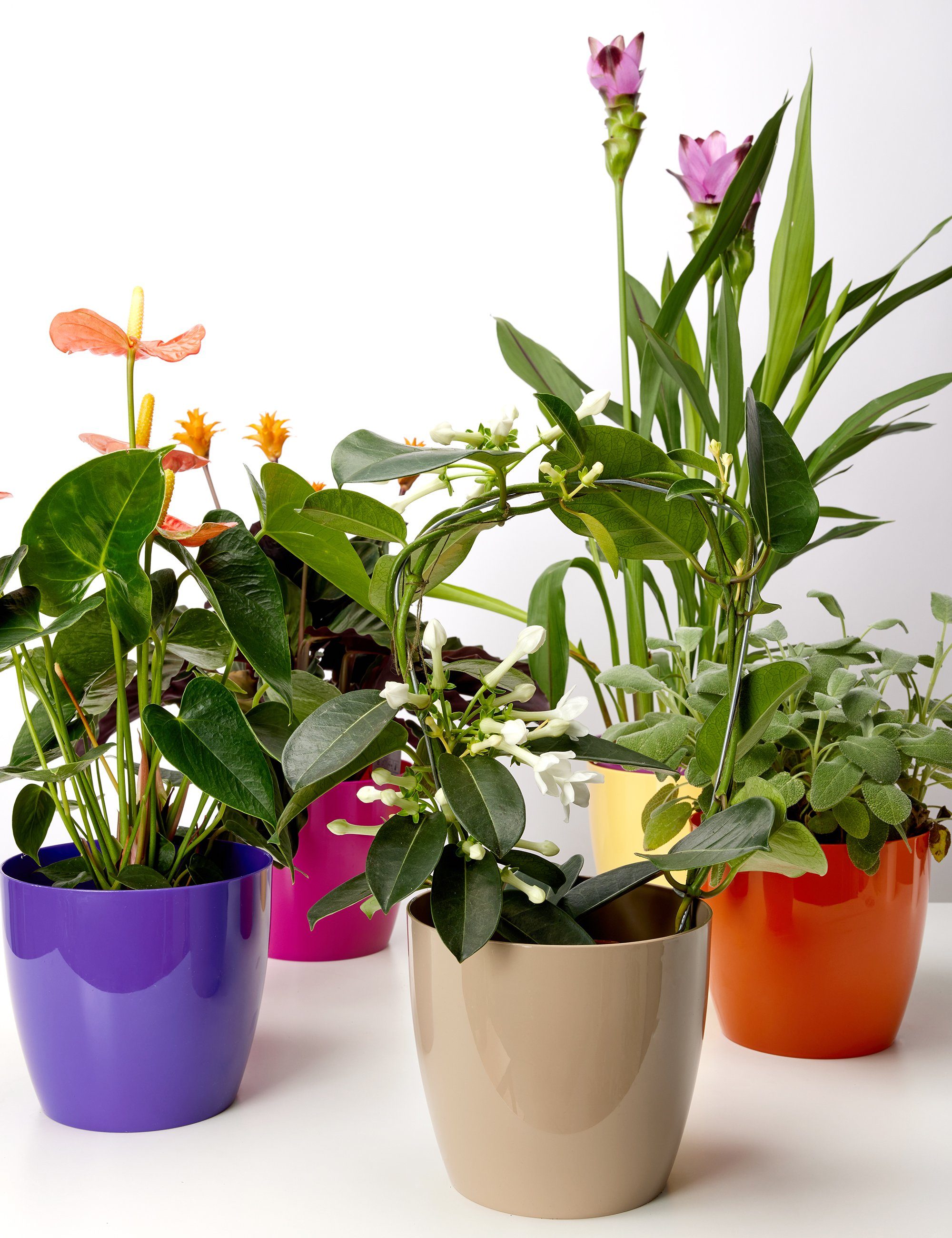 Garronda Blumentopf Garronda Blumentopf Übertopf 2 günstig online kaufen