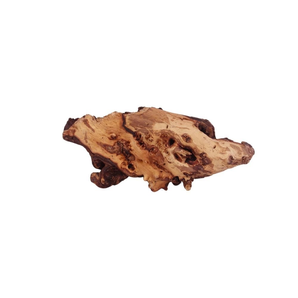 Aquaone Aquarium XL Mopani Wurzel Nr.9394 Holz Deko Aquascaping