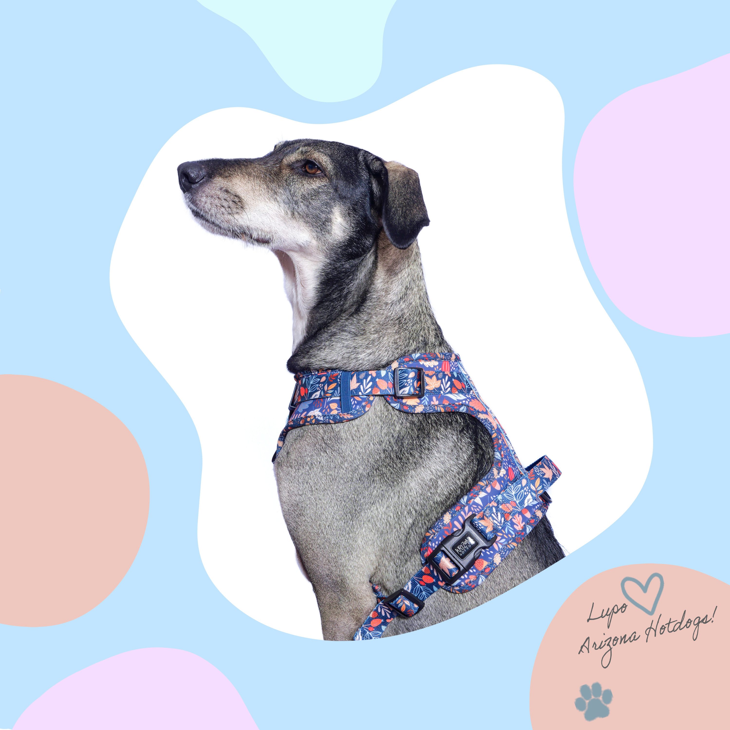 ARIZONA HOT DOGS Hunde-Geschirr Neopren Griffgeschirr Fall in Love, Buntes Blattmuster L