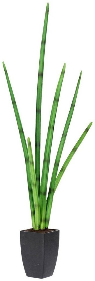 Kunstpflanze Sanseveria, Creativ green, Höhe 100 cm, Detailgetreues  Blattwerk & dekorative Form der Kunstpflanze