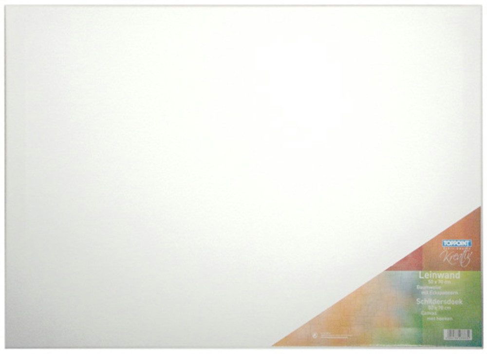 Stylex Schreibwaren Leinwand 6 Leinwände bespannte Keilrahmen Leinwand 50x70cm