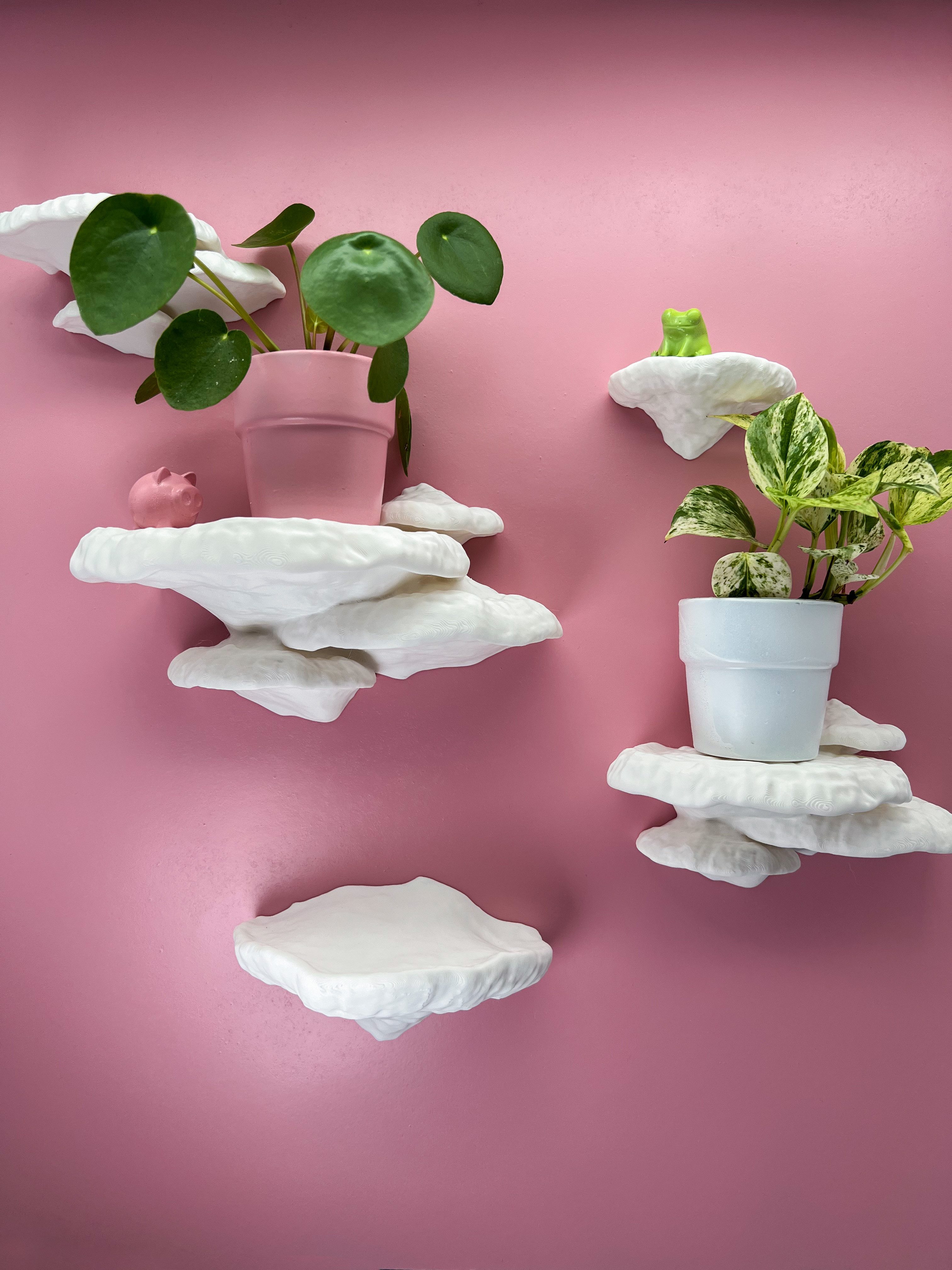 Roomberry Deko-Wandregal Baumschwamm Pilz Wandregal-Set, Pilzregal-Set, Mad günstig online kaufen