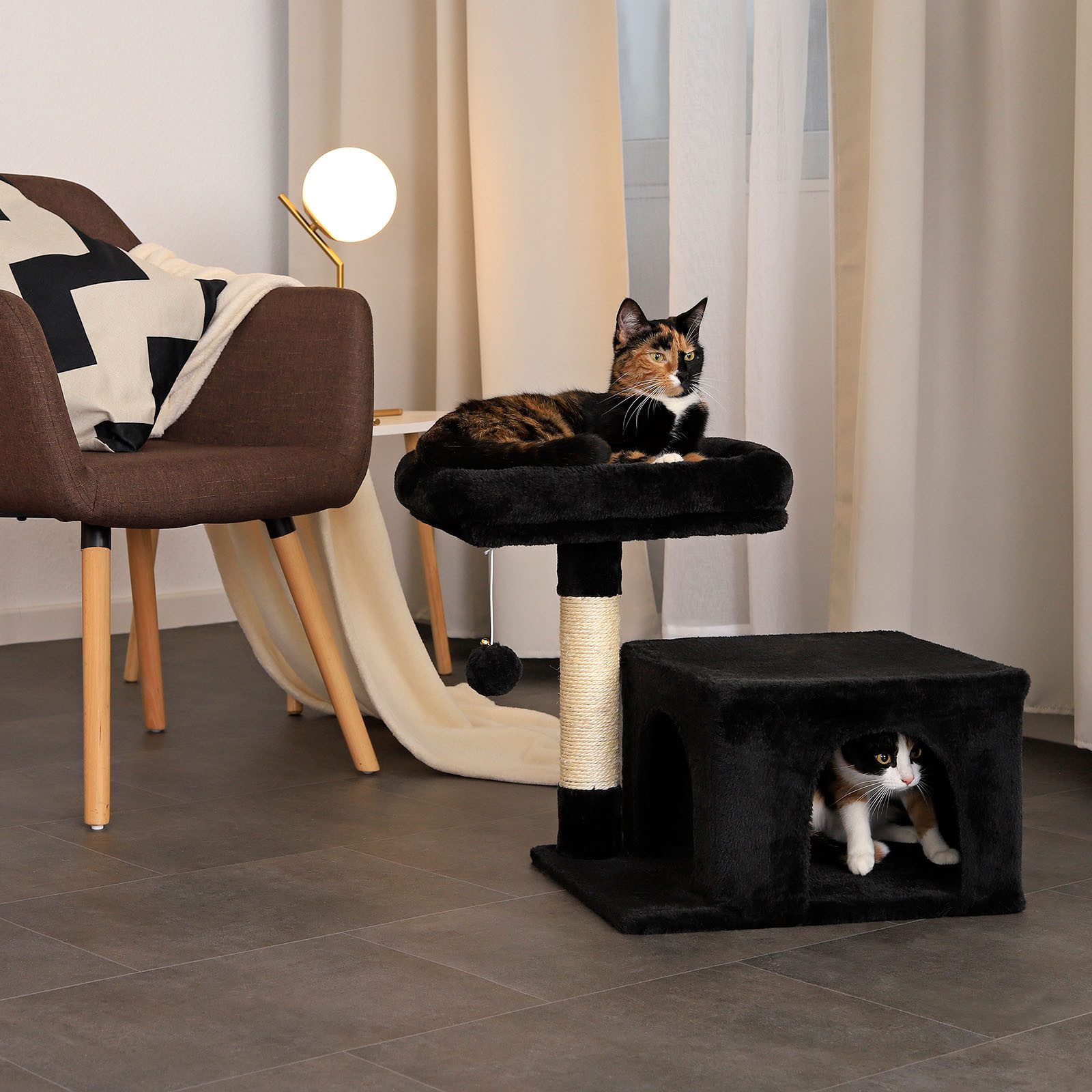 lionto Kratzbaum platzsparend 50 cm, für Kitten & Jungtiere, schwarz, Katzenkratzbaum mit Plüschbezug, Spielball & Sisalstange
