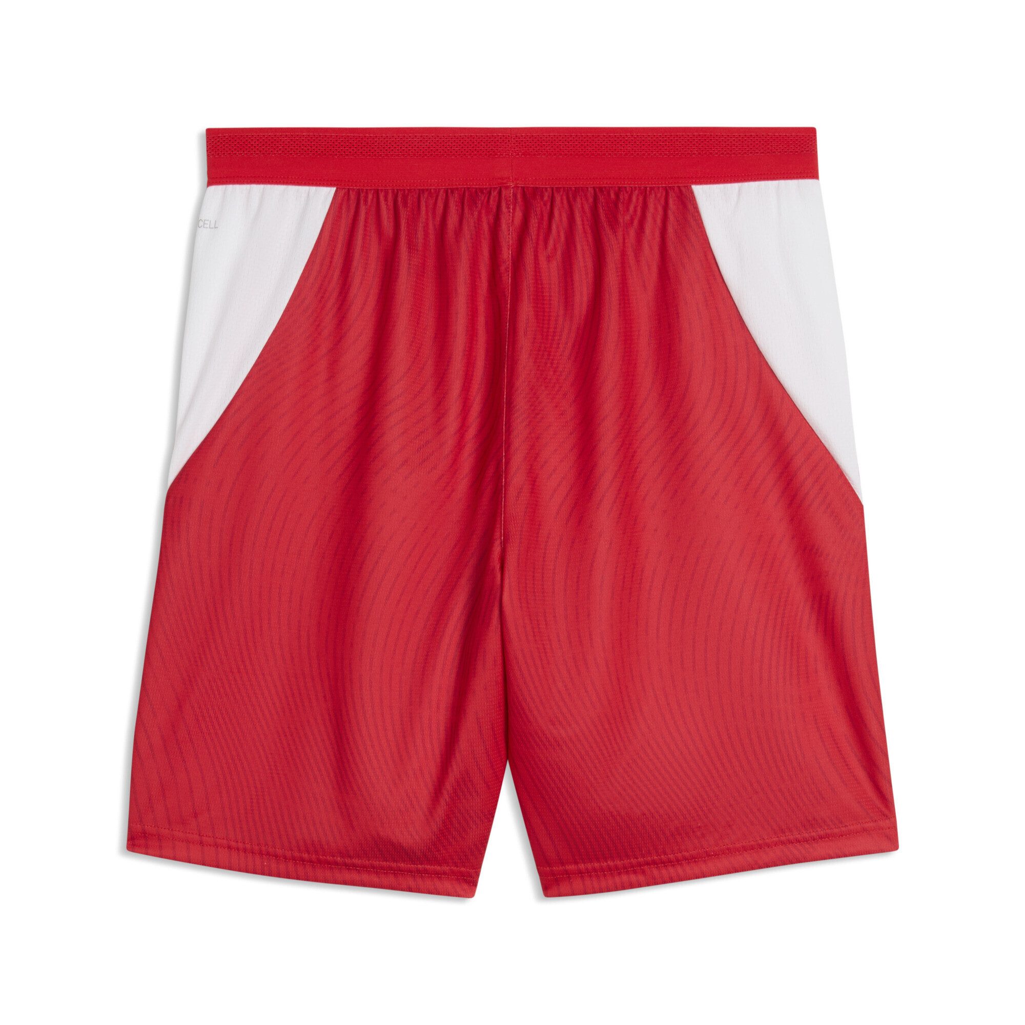 PUMA Sporthose Schweiz 2026 Shorts Herren