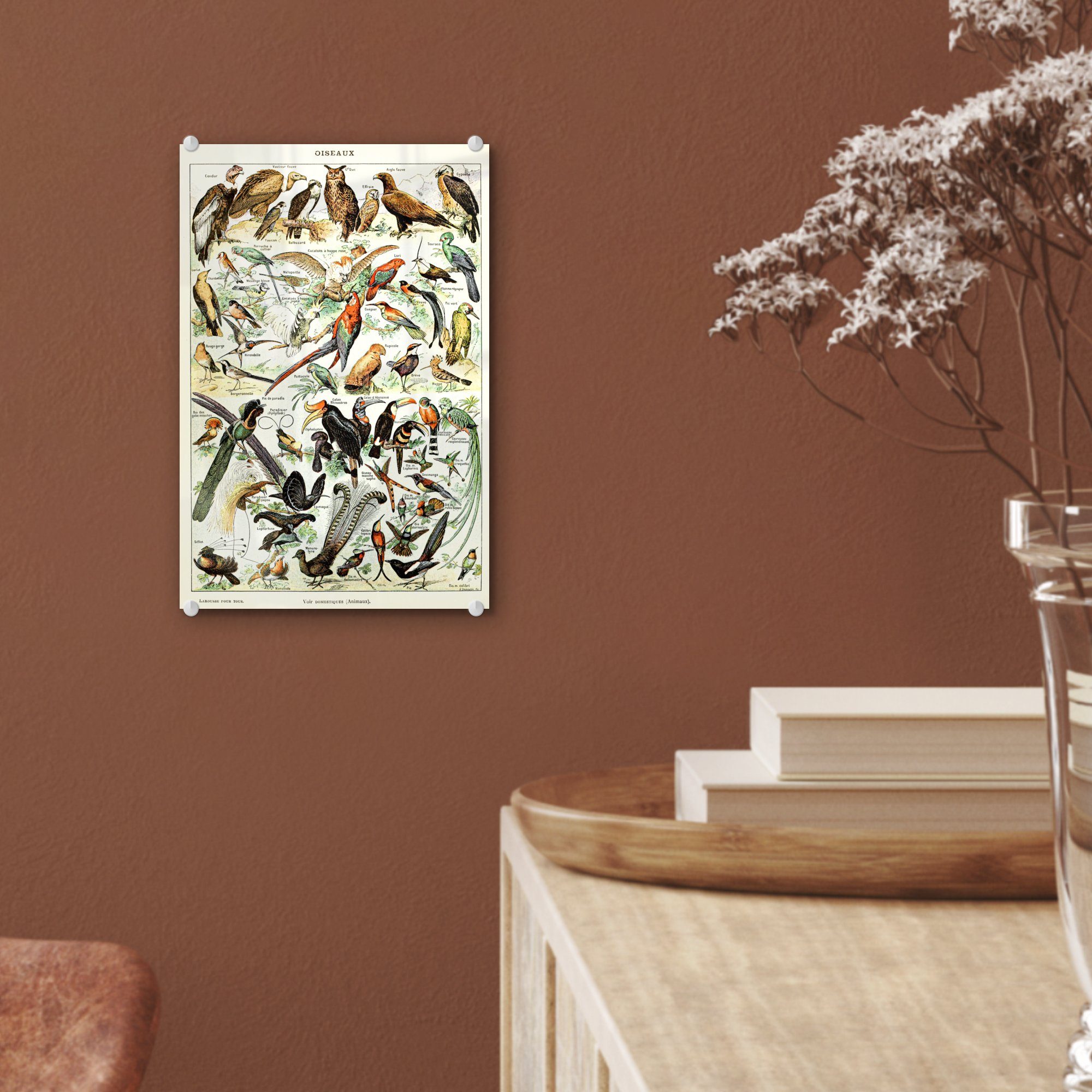Bilder - Wandbild MuchoWow Acrylglasbild Natur, (1 St), Glas Glas - Vogel Tiere auf auf - Wanddekoration Foto Glasbilder - -