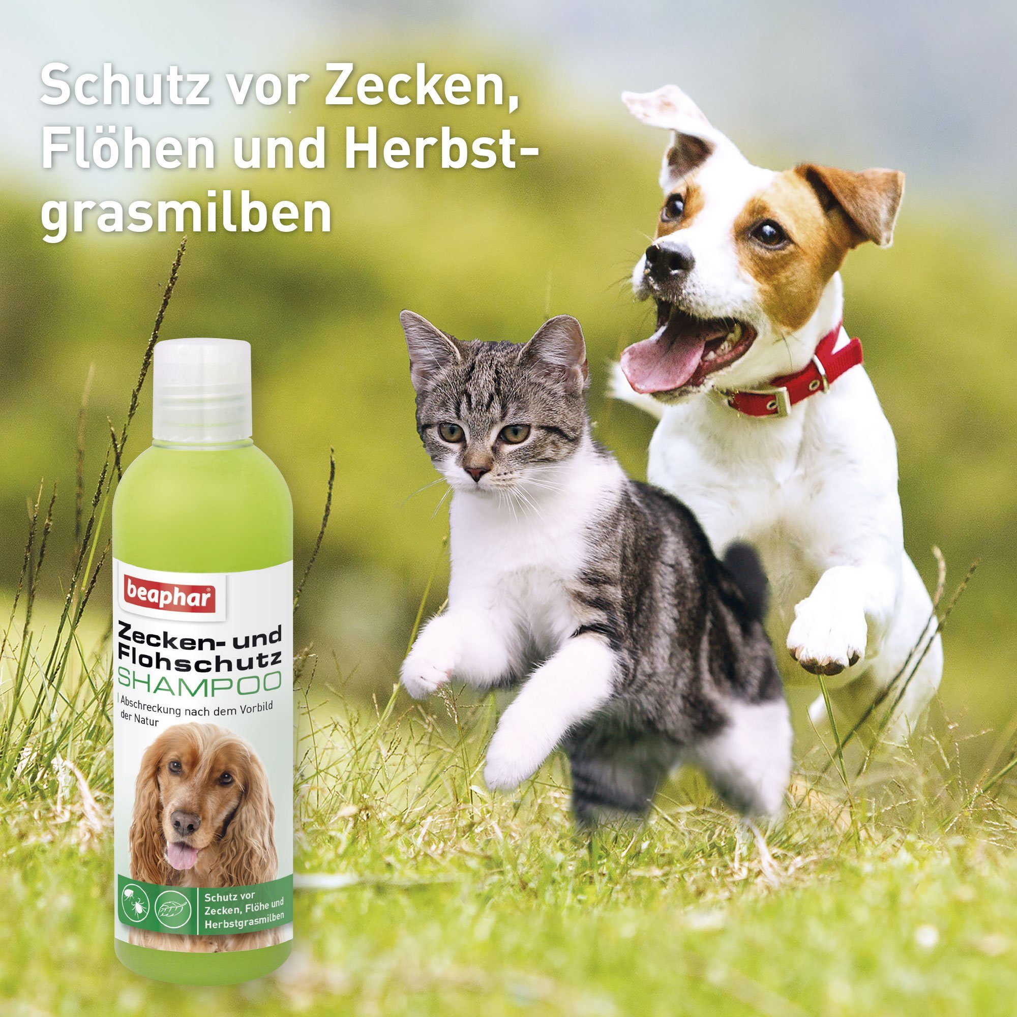 beaphar Zeckenschutzmittel Zecken- und Flohschutz Shampoo günstig online kaufen