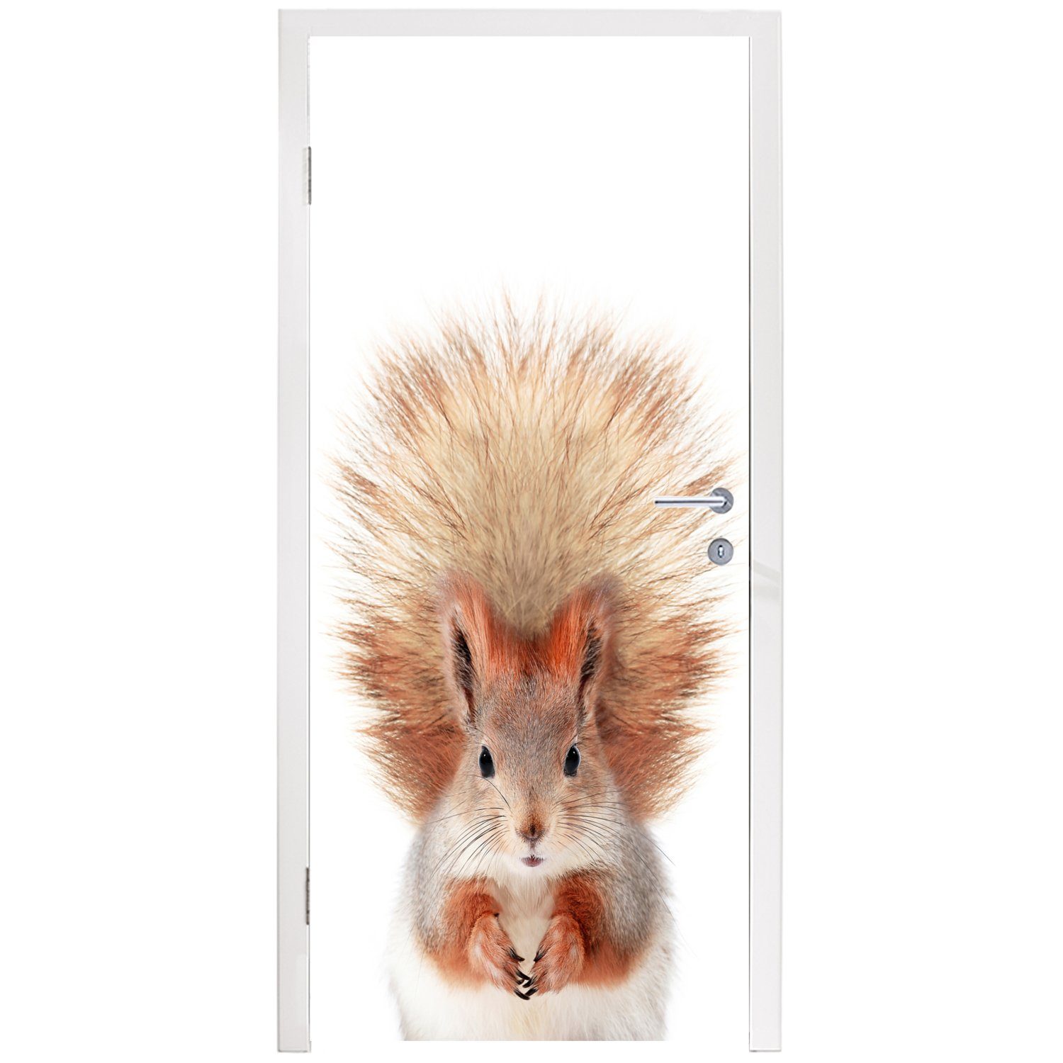 Matt, Weiß, Türtapete Fototapete cm Tür, (1 - - 75x205 Tiere Türaufkleber, - Eichhörnchen Natur Orange bedruckt, St), MuchoWow für -
