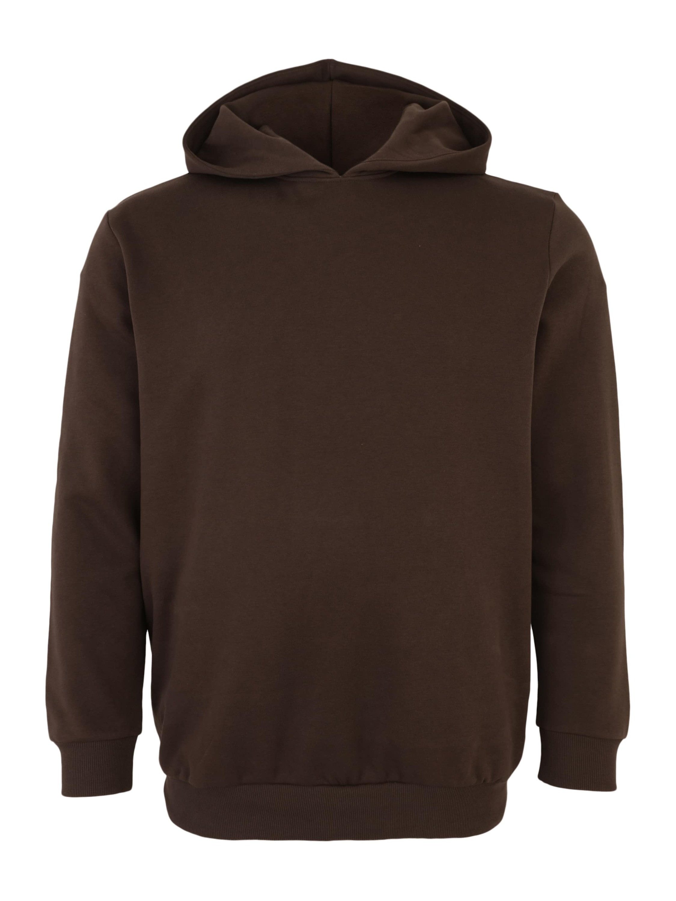 Sweatshirt JPRBLAANDREW