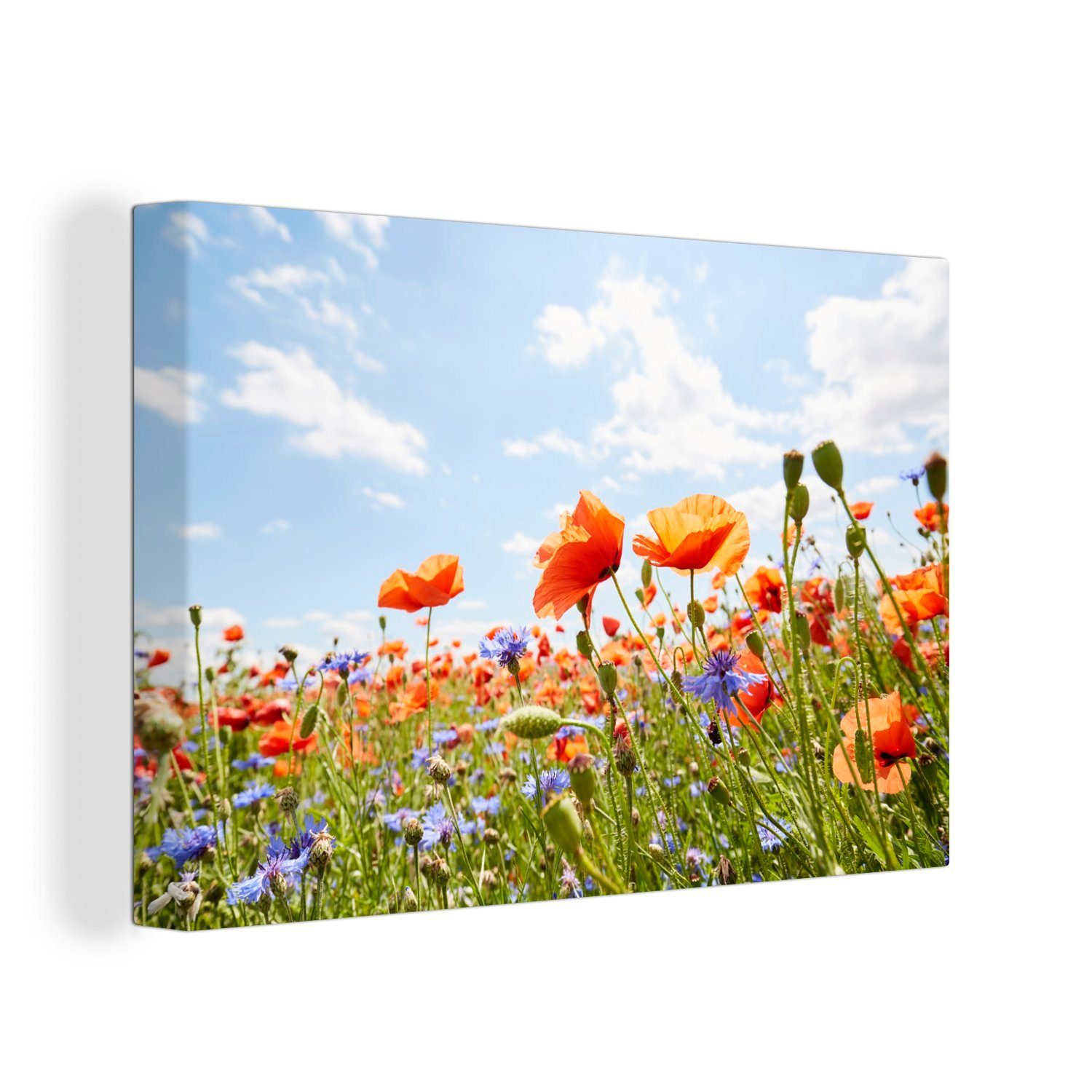 OneMillionCanvasses® Leinwandbild Blumen - Luft - Feld, (1 St), Wandbild Leinwandbilder, Aufhängefertig, Wanddeko, 30x20 cm | Leinwandbilder