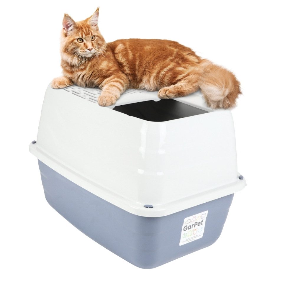 Katzentoilette Hop-In Katzenklo Katzentoilette Hoch oben Einstieg Top Entry Jump-In
