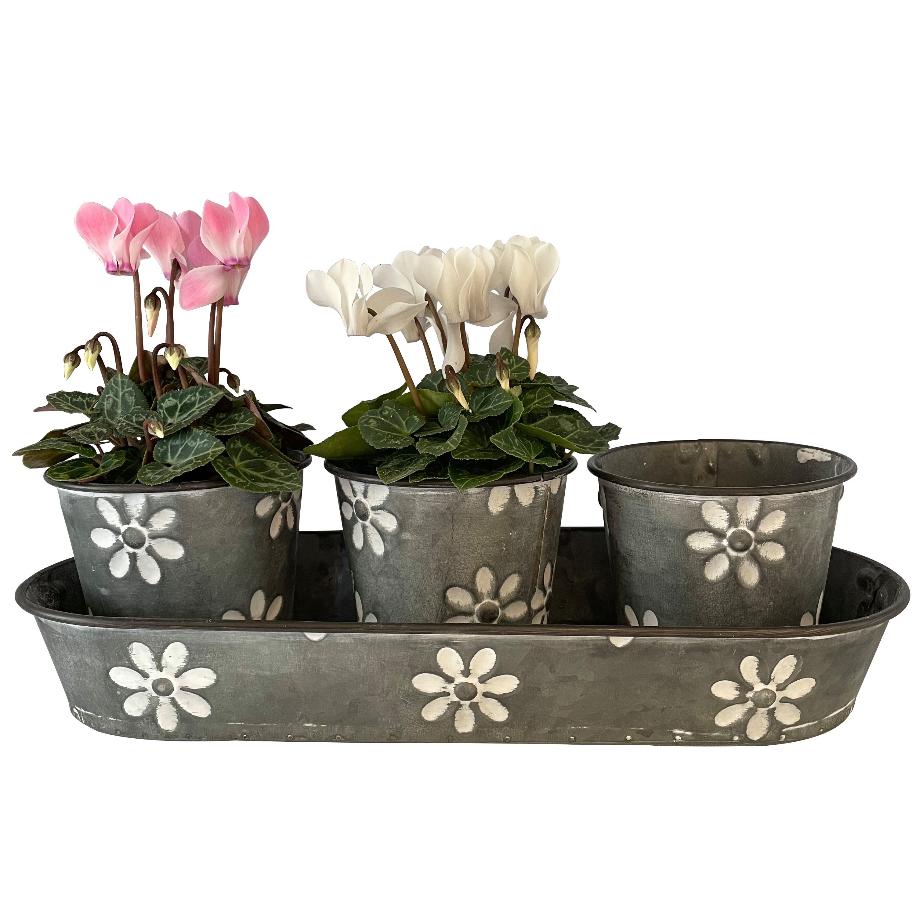 OnlineFuchs Blumentopf 3er Set süße Blumentöpfe auf Tablett