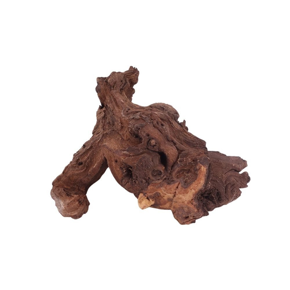 Aquaone Aquarium L Mopani Wurzel Nr.2820 Holz Deko Aquascaping