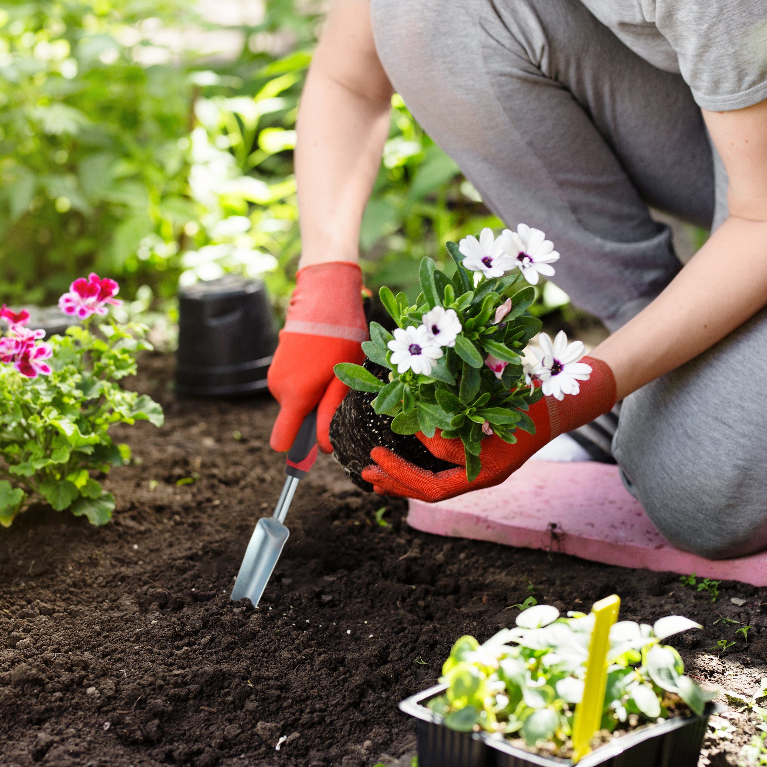 relaxdays Unkrauthacke 2 x Unkrautstecher Garten