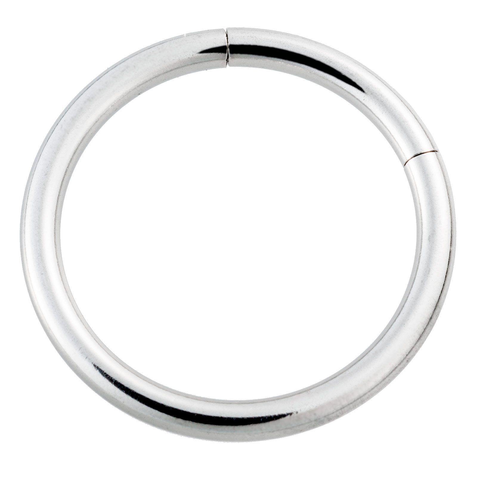 Paletti Single-Creole Segment Ring Scharnier Klicker Piercing silberfarben günstig online kaufen