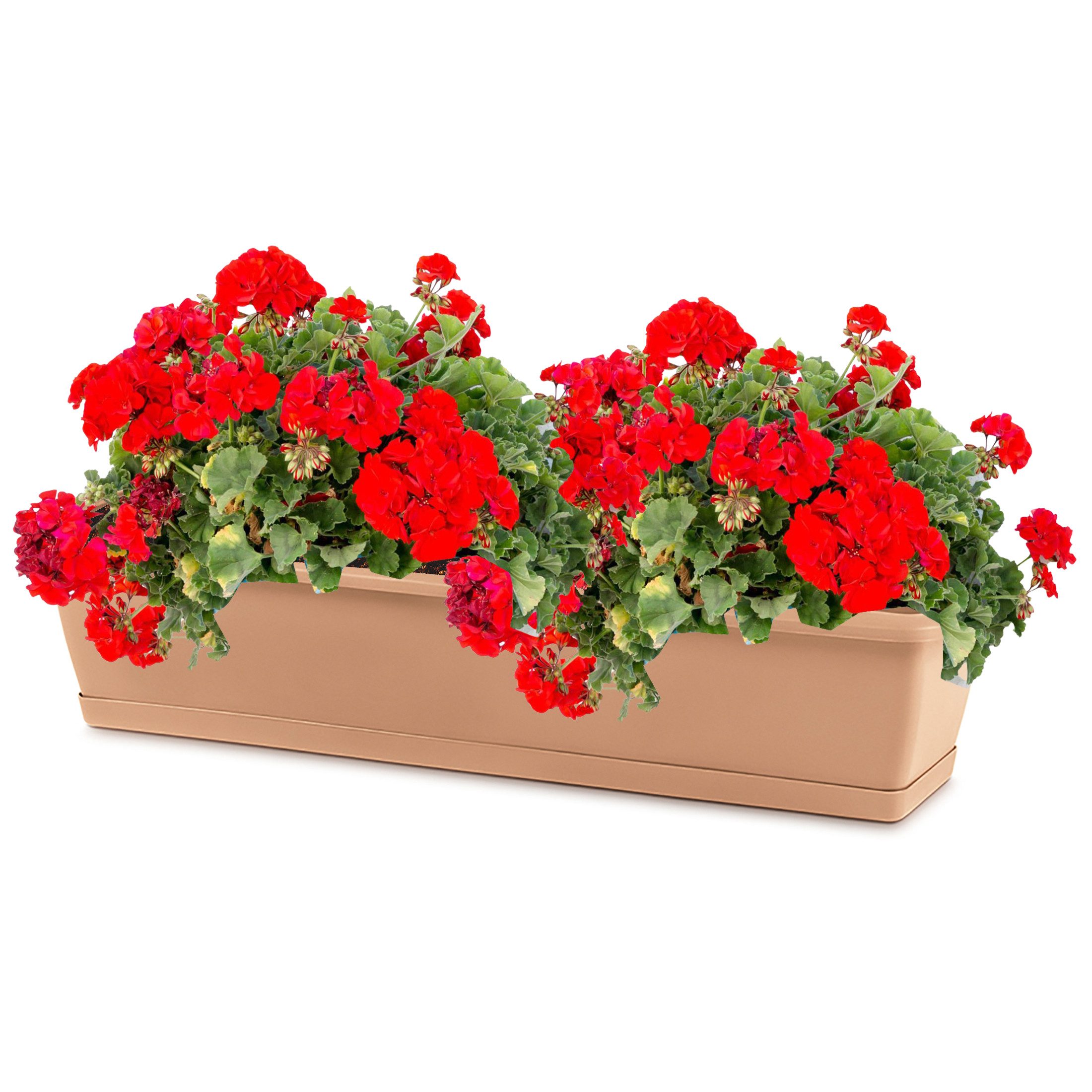 Annastore Balkonkasten Blumenkasten aus wetterfestem Kunststoff günstig online kaufen