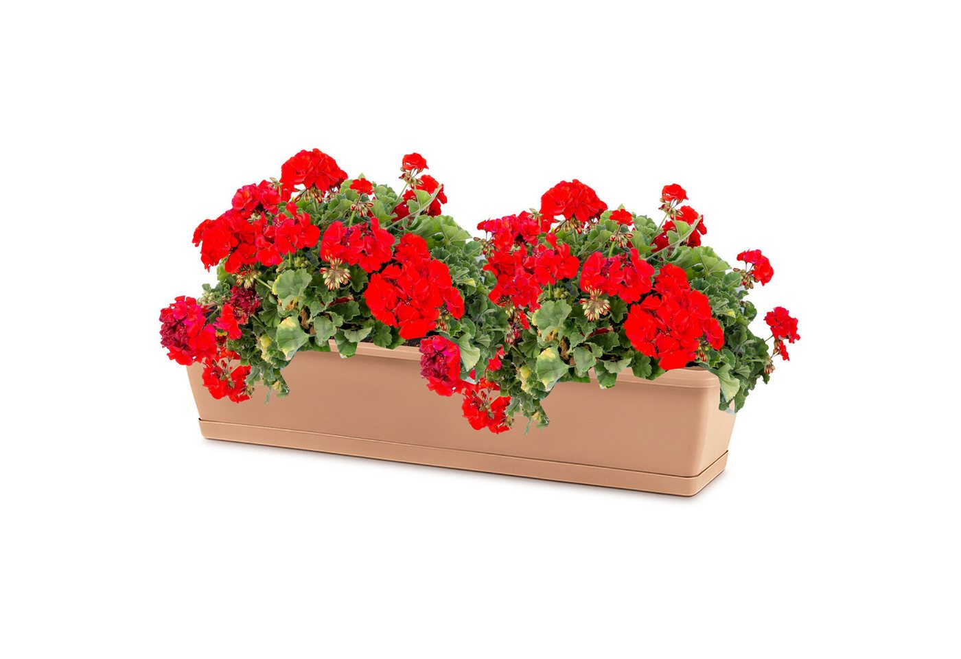 Thumbnail - Annastore Balkonkasten Blumenkasten aus wetterfestem Kunststoff - Blumenkästen - Balkonkästen