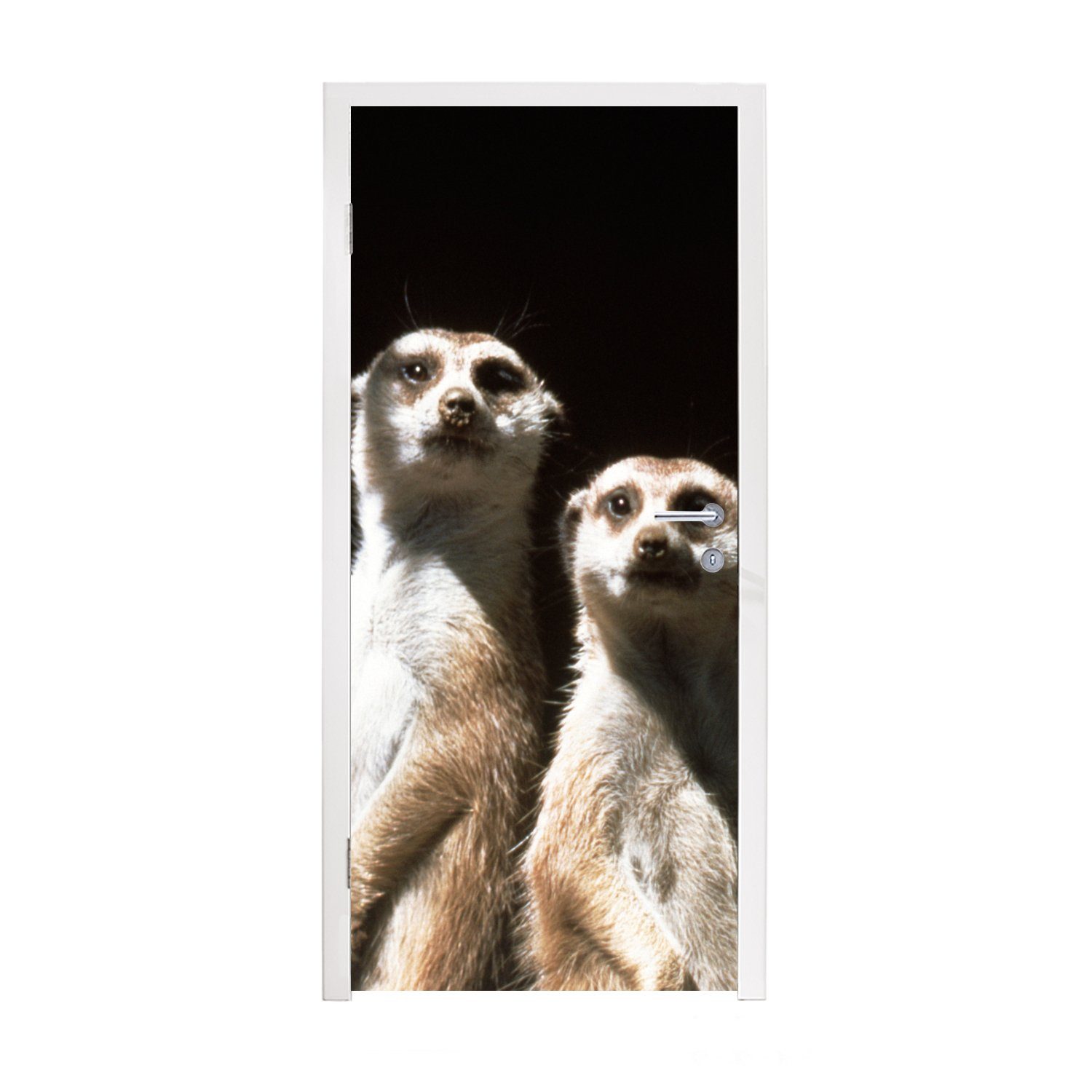 MuchoWow Türtapete Schwarz - Erdmännchen - Tiere, Matt, bedruckt, (1 St), Fototapete für Tür, Türaufkleber, 75x205 cm