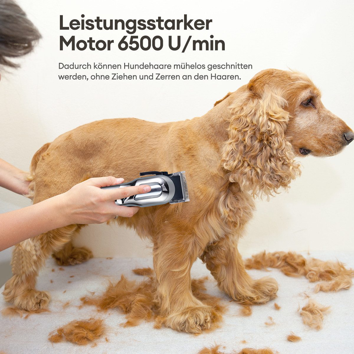 CkeyiN Pro Hundeschermaschine Profi,Schermaschine Set,Tierhaarschneidemaschine für Hund und Katze, mit 4 Aufsteckkämme, Wiederaufladbaren mit Basis