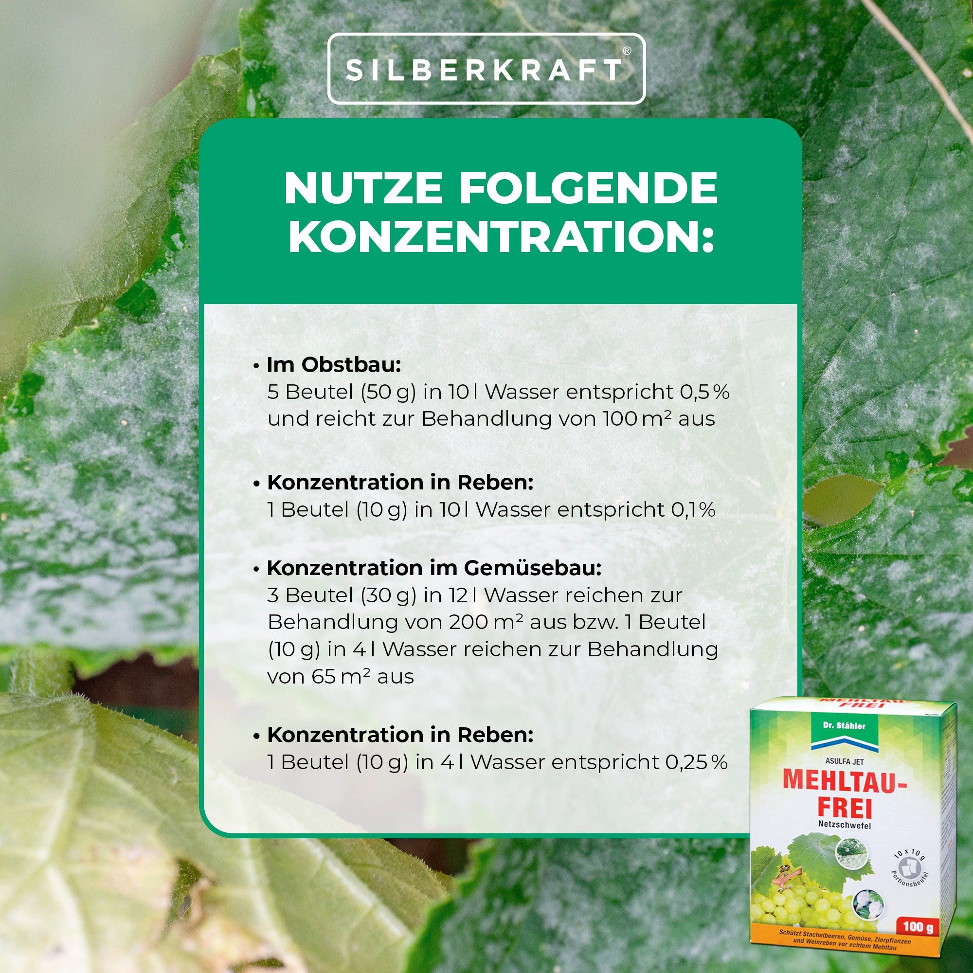 Dr. Stähler Pflanzen-Pilzfrei Asulfa® Jet Mehltau-Frei: Effektiver Schutz gegen Mehltau und Milben, 100 g, 10-St., Netzschwefelhaltiges Mittel, Wirkt auch gegen – Bild 3 von 5