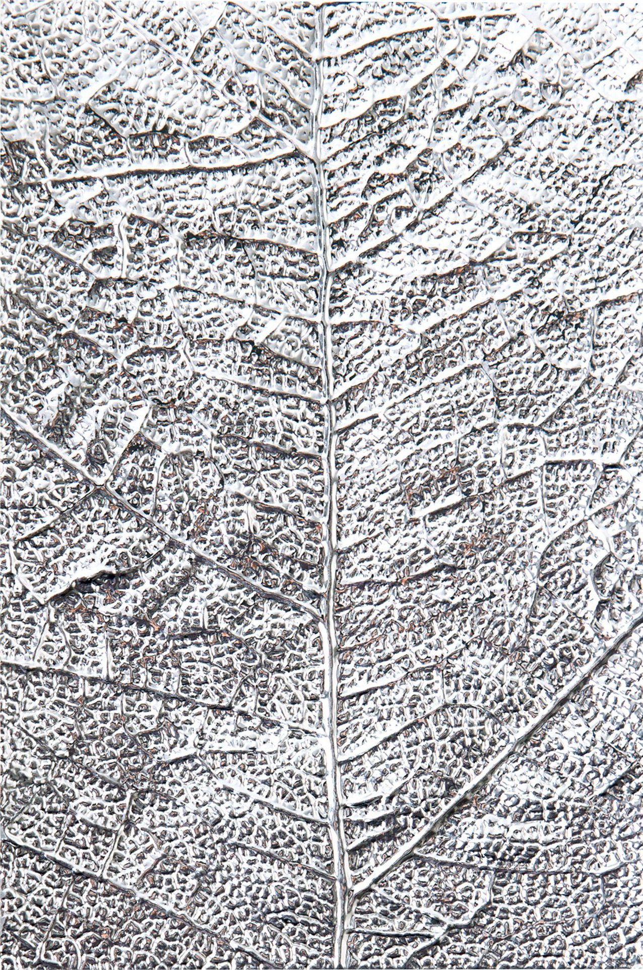 Sizzix Motivschablone 3D-Prägeschablone Leaf Veins, 15,9 cm hoch
