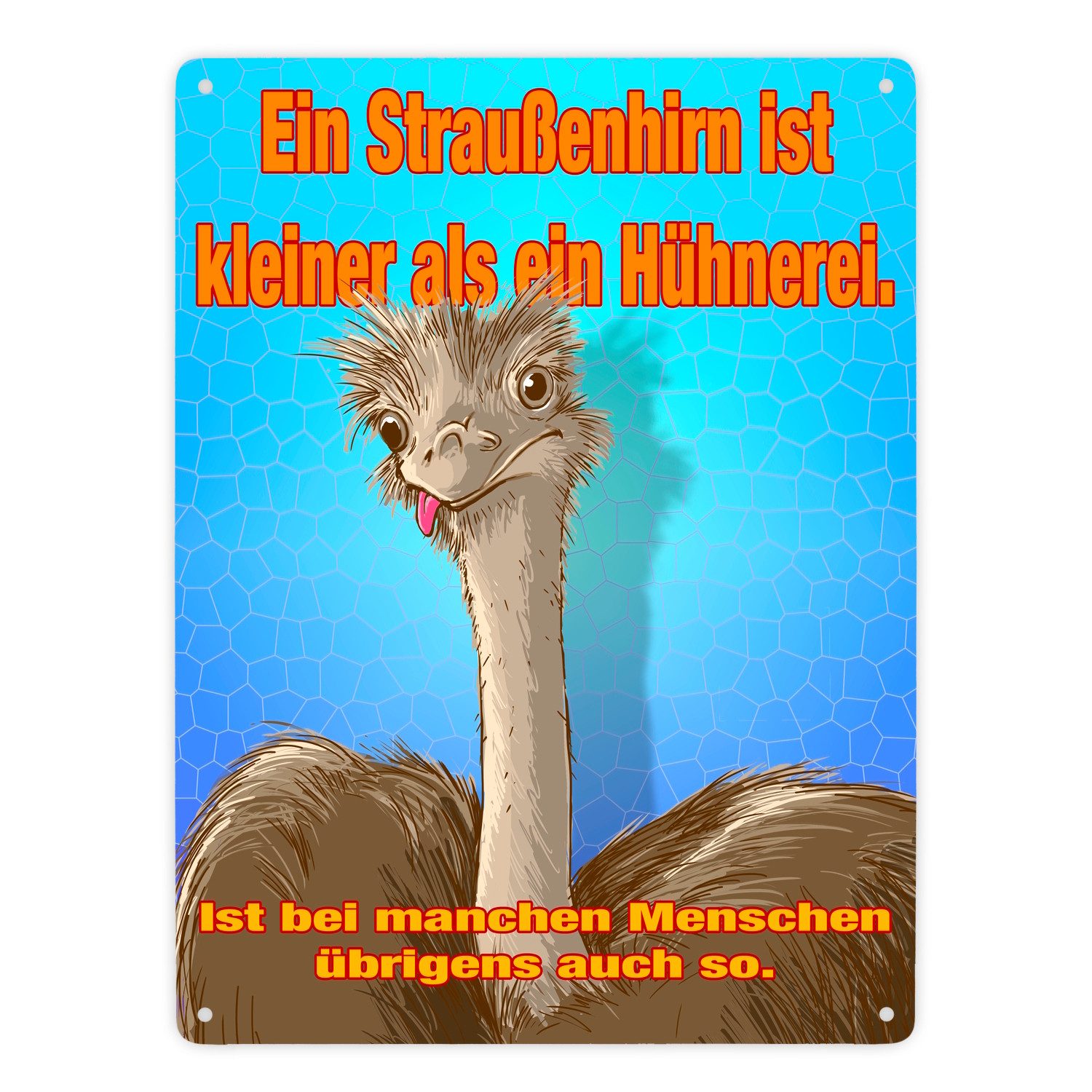 Metallschild Metallschild XXL in 28x38 cm Spruch Ein Straußenhirn ist kleiner als