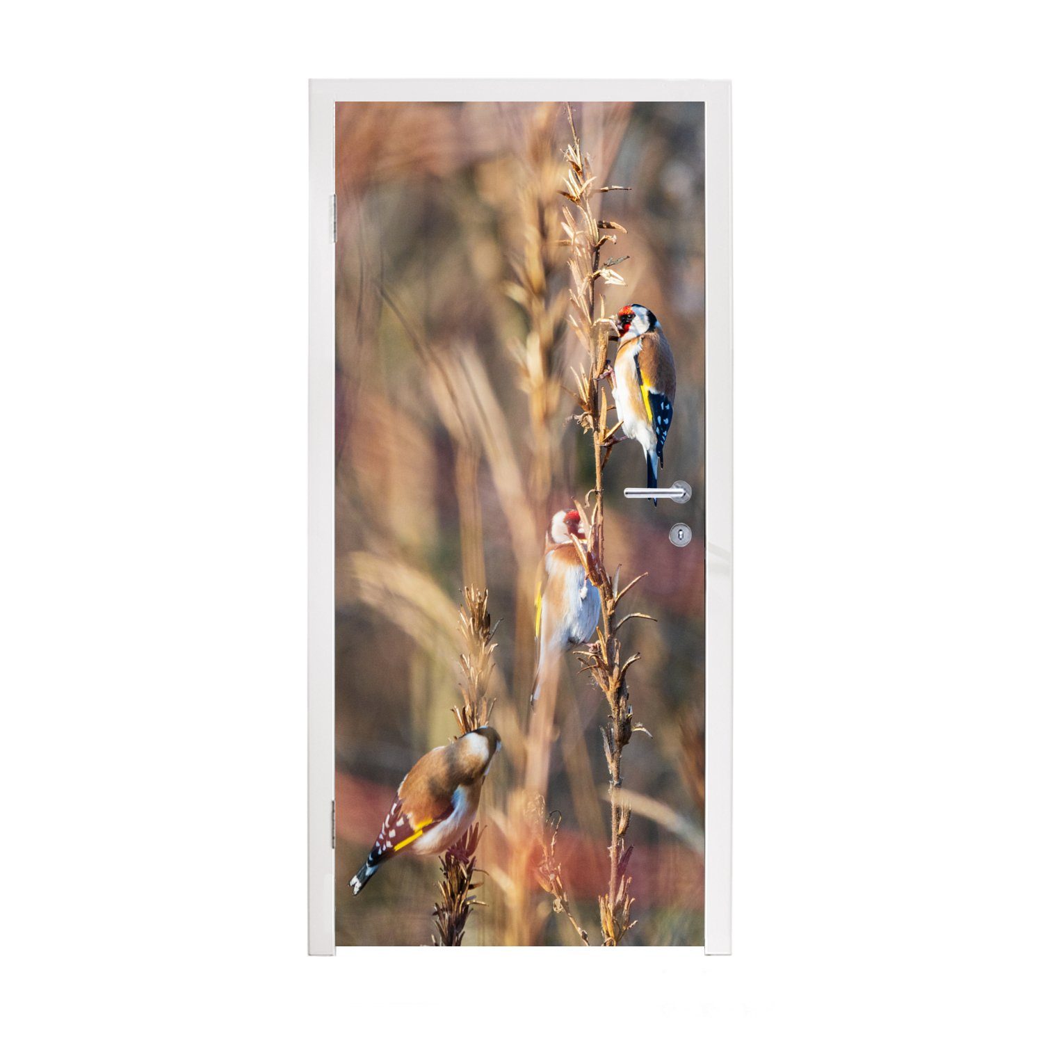 MuchoWow Türtapete Vögel - Äste - Wald, Matt, bedruckt, (1 St), Fototapete für Tür, Türaufkleber, 75x205 cm