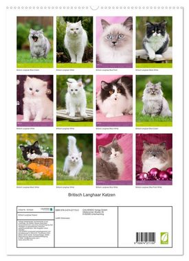 CALVENDO Wandkalender Britisch Langhaar Katzen (Premium, hochwertiger DIN A2 Wandkalender 2023, Kunstdruck in Hochglanz)