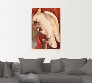 Artland Wandfolie Großer Gelbhaubenkakadu, Vogelbilder (1 St), selbstklebend
