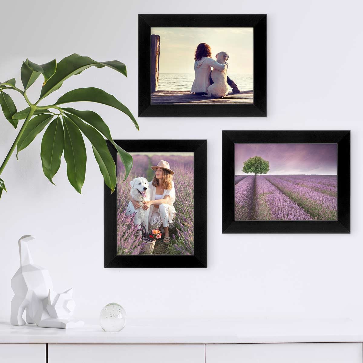 PHOTOLINI Bilderrahmen 3er Set breite Rahmen, extra Zubehör, (3er Set), im günstig online kaufen