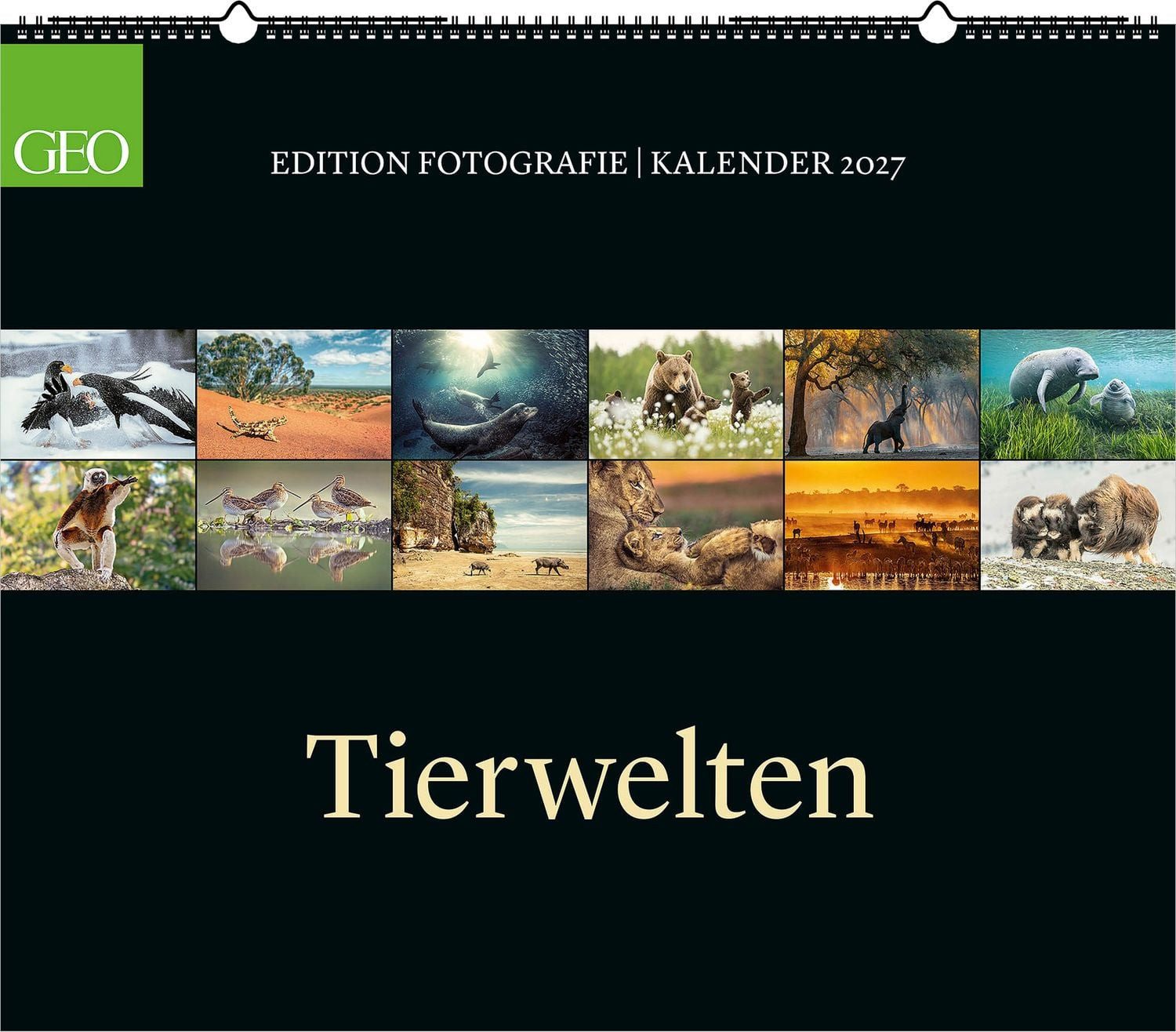Wandkalender GEO Edition: Tierwelten 2027