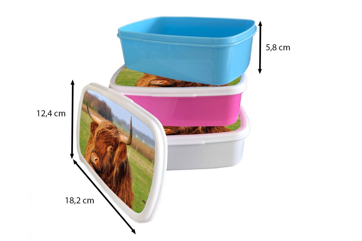 Kinder - Jungs Brotbox - Brotdose, Lunchbox Gras Highlander weiß und MuchoWow für für Kunststoff, Schottischer (2-tlg), Mädchen und Baum, Erwachsene,