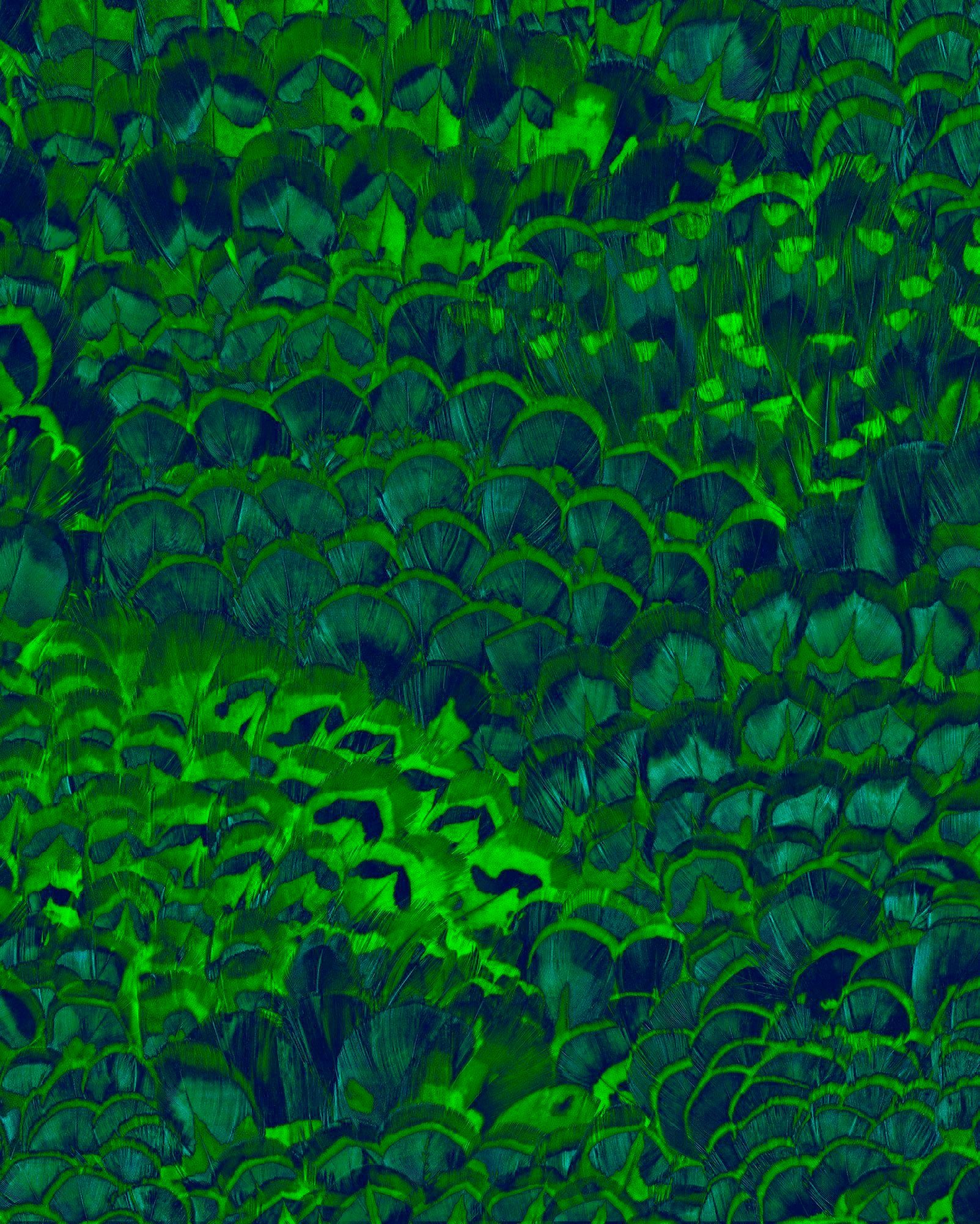 Komar Vliestapete, (1 St), 200x250 cm (Breite x Höhe), Vliestapete, 100 cm Bahnbreite grün