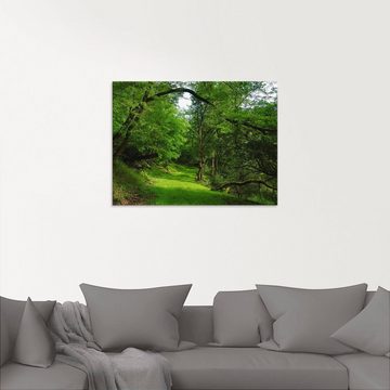 Artland Glasbild Grüner Weg durch den Wald, Wald (1 St), in verschiedenen Größen