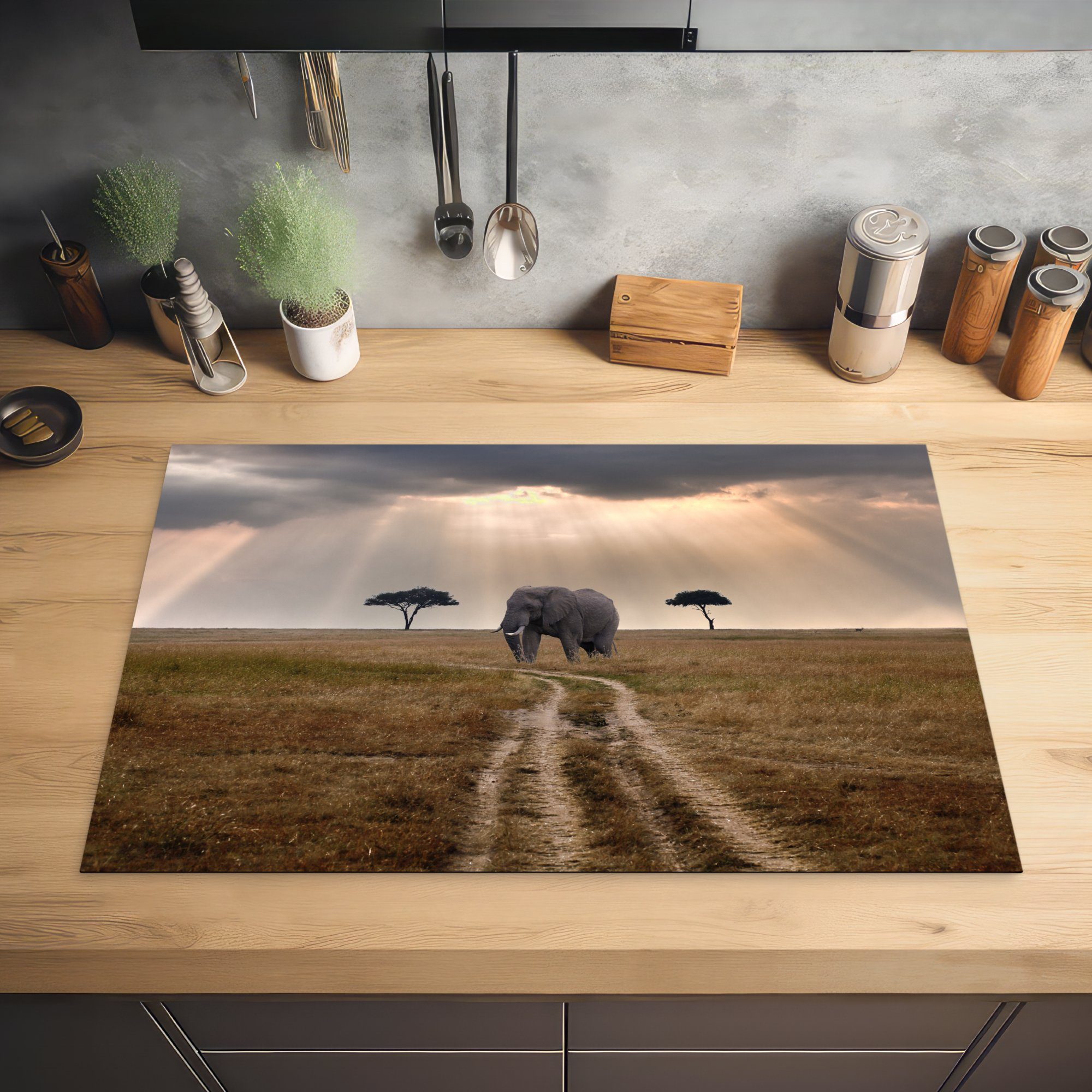 in Induktionskochfeld Vinyl, im für Schutz MuchoWow Mara-Nationalpark Masai Elefant Herdblende-/Abdeckplatte die küche, Kenia, (1 cm, tlg), Ceranfeldabdeckung 81x52