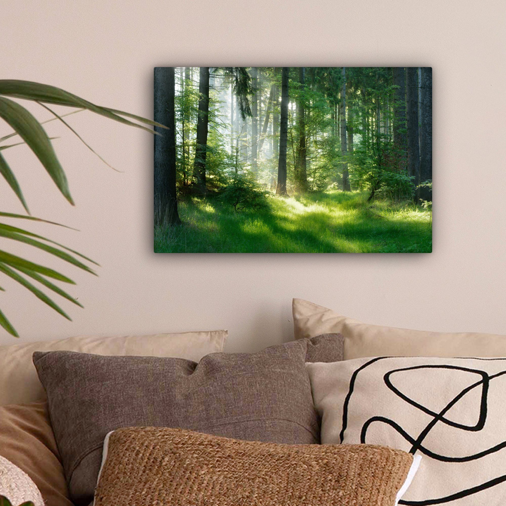 OneMillionCanvasses® Leinwandbild Natur - Bäume - Wald - Grün - Sonne - Gra günstig online kaufen