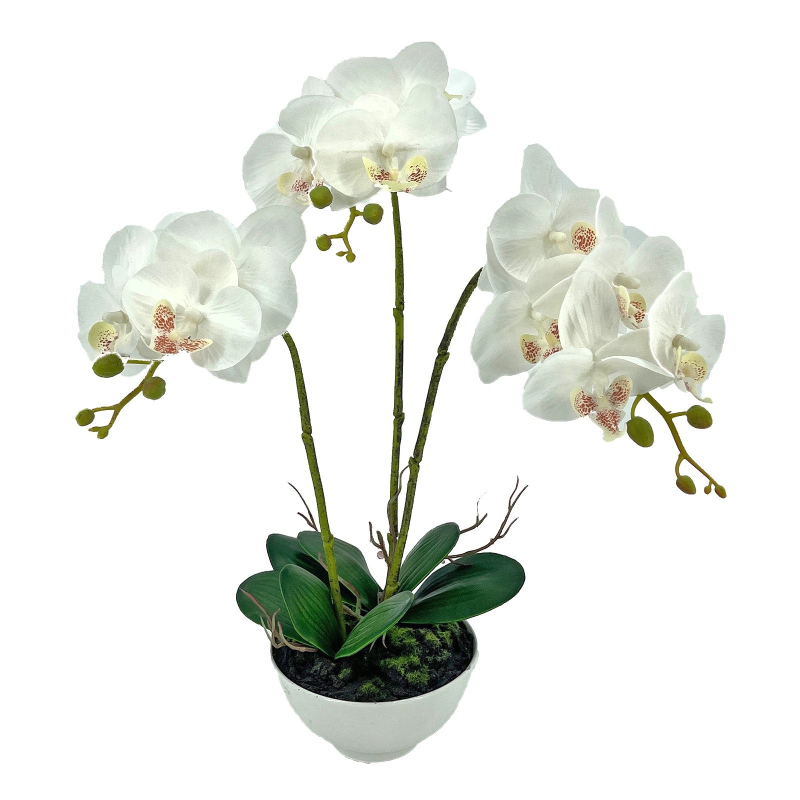 Kunstblume Kunstblume Orchidee in Schale Leilani, NTK-Collection, Höhe 44 cm, Kunstpflanze, Dekoration, Orchidee